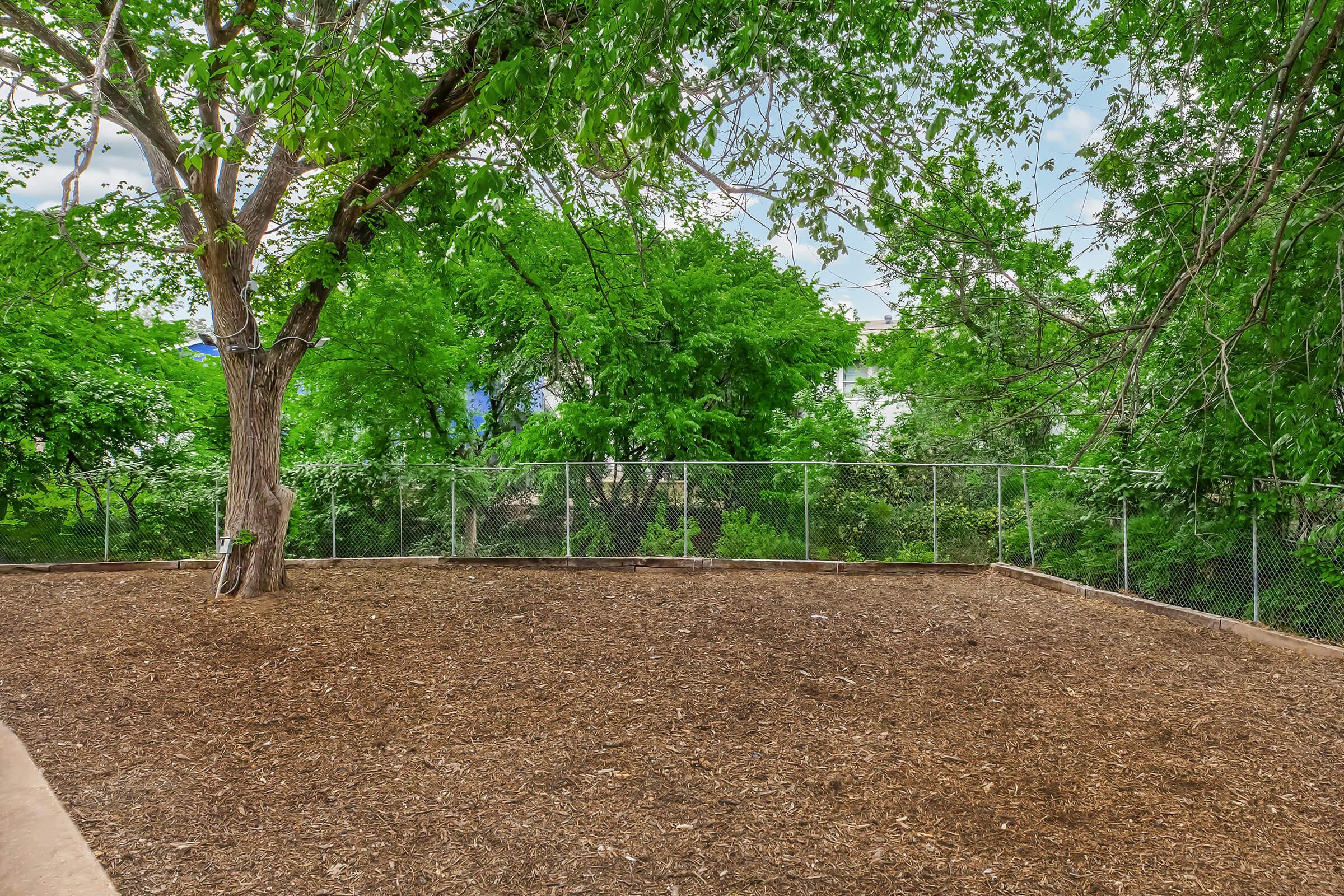 A spacious outdoor area covered with mulch, surrounded by lush green trees and foliage. A chain-link fence outlines the space, providing a view of the greenery beyond. The sky is partly cloudy, adding a tranquil atmosphere to the scene.