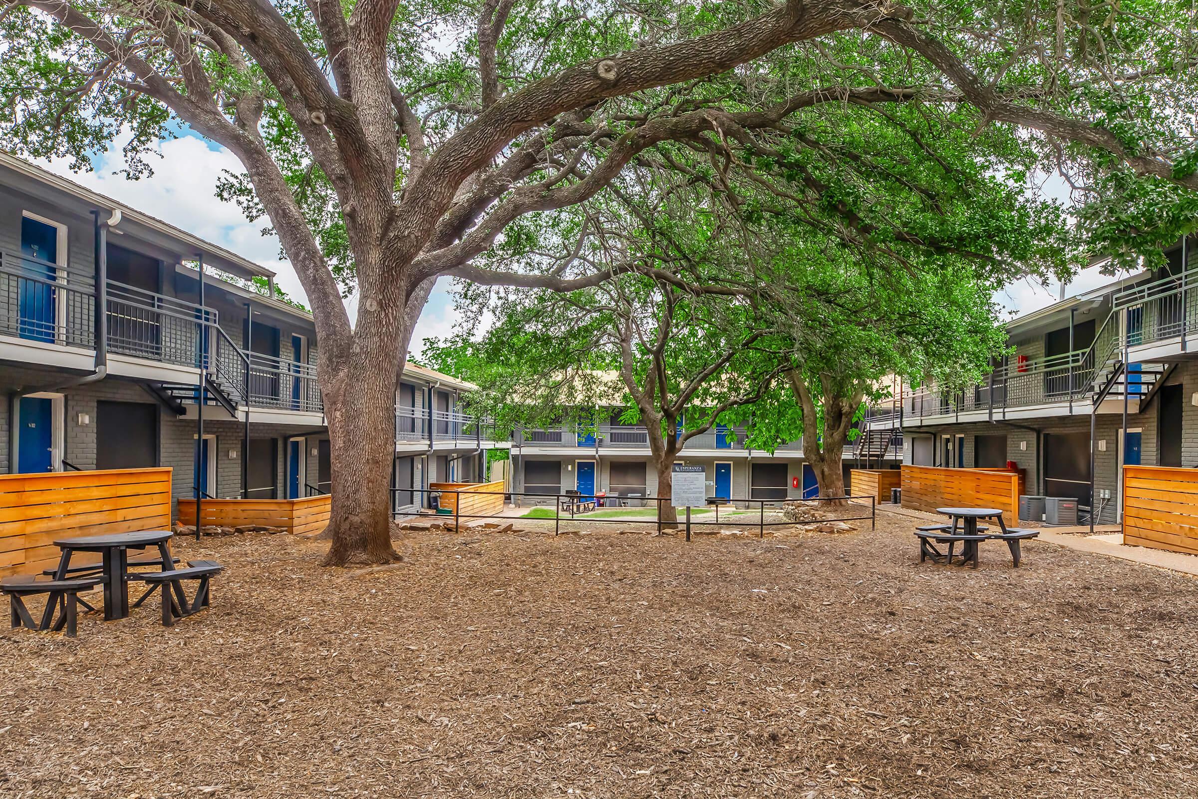 A courtyard area featuring a large tree, picnic tables, and multiple two-story buildings with blue doors. The ground is covered with mulch, and there are wooden benches lining the space, providing a communal area for relaxation and socializing. More greenery is seen in the background.