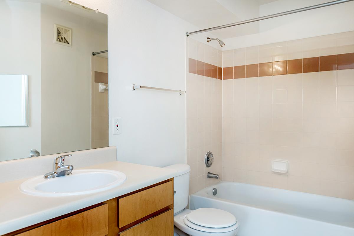 a white sink sitting under a mirror