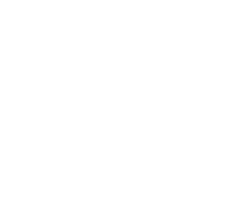 North Shore Village ebrochure logo