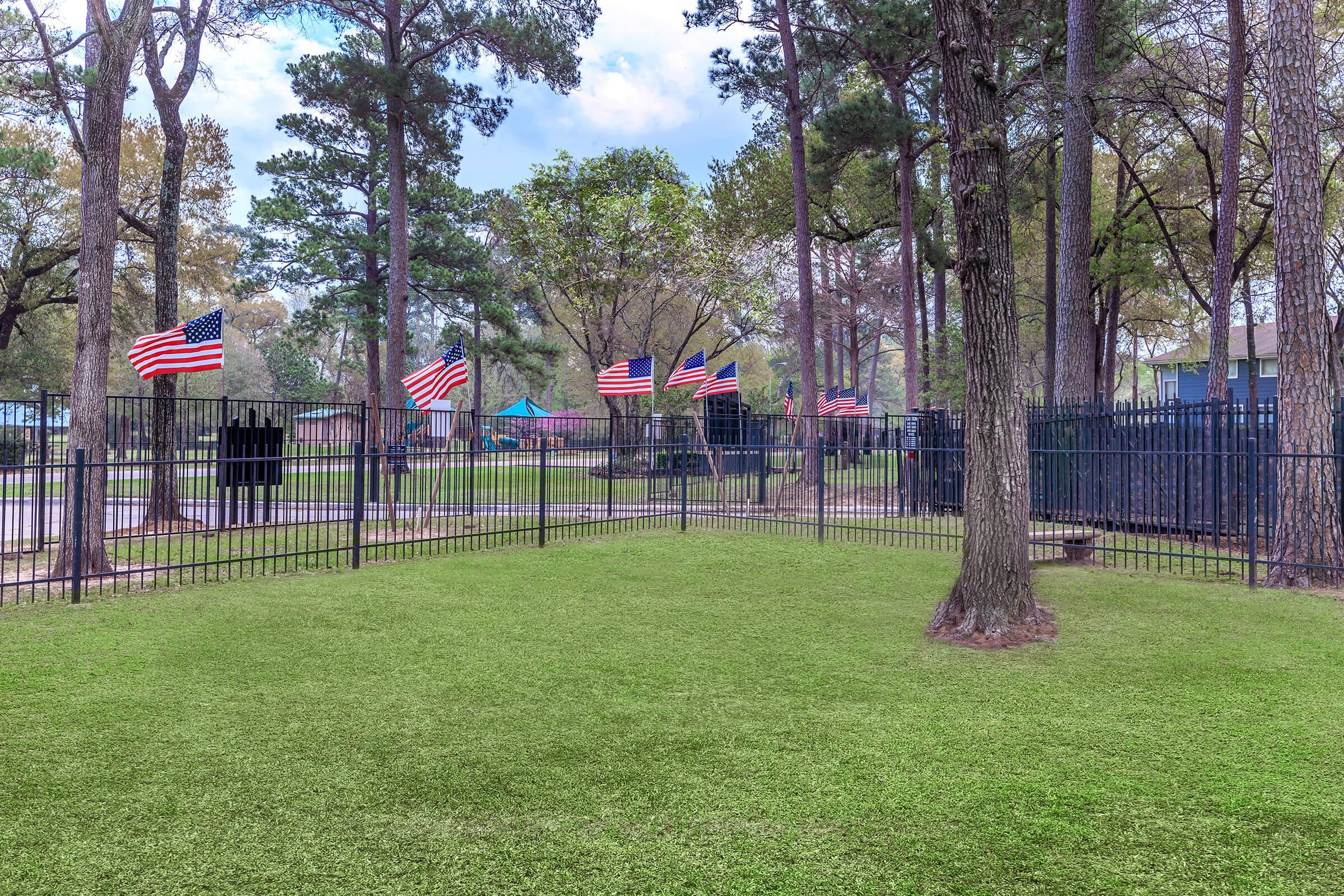 a group of people in a park