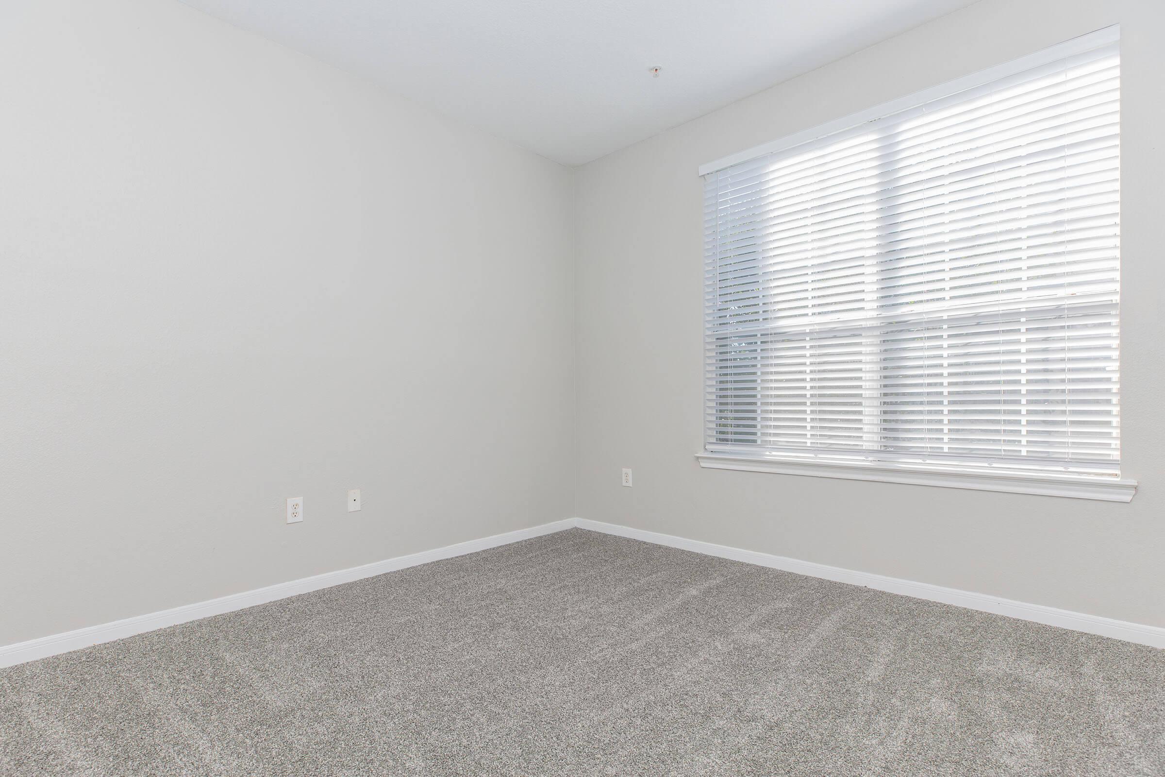 Empty room with light gray carpet and pale gray walls. A large window with white blinds allows natural light to enter. The room is unadorned, giving a spacious and minimalistic feel. No furniture or decorations are present, emphasizing the room's simplicity.