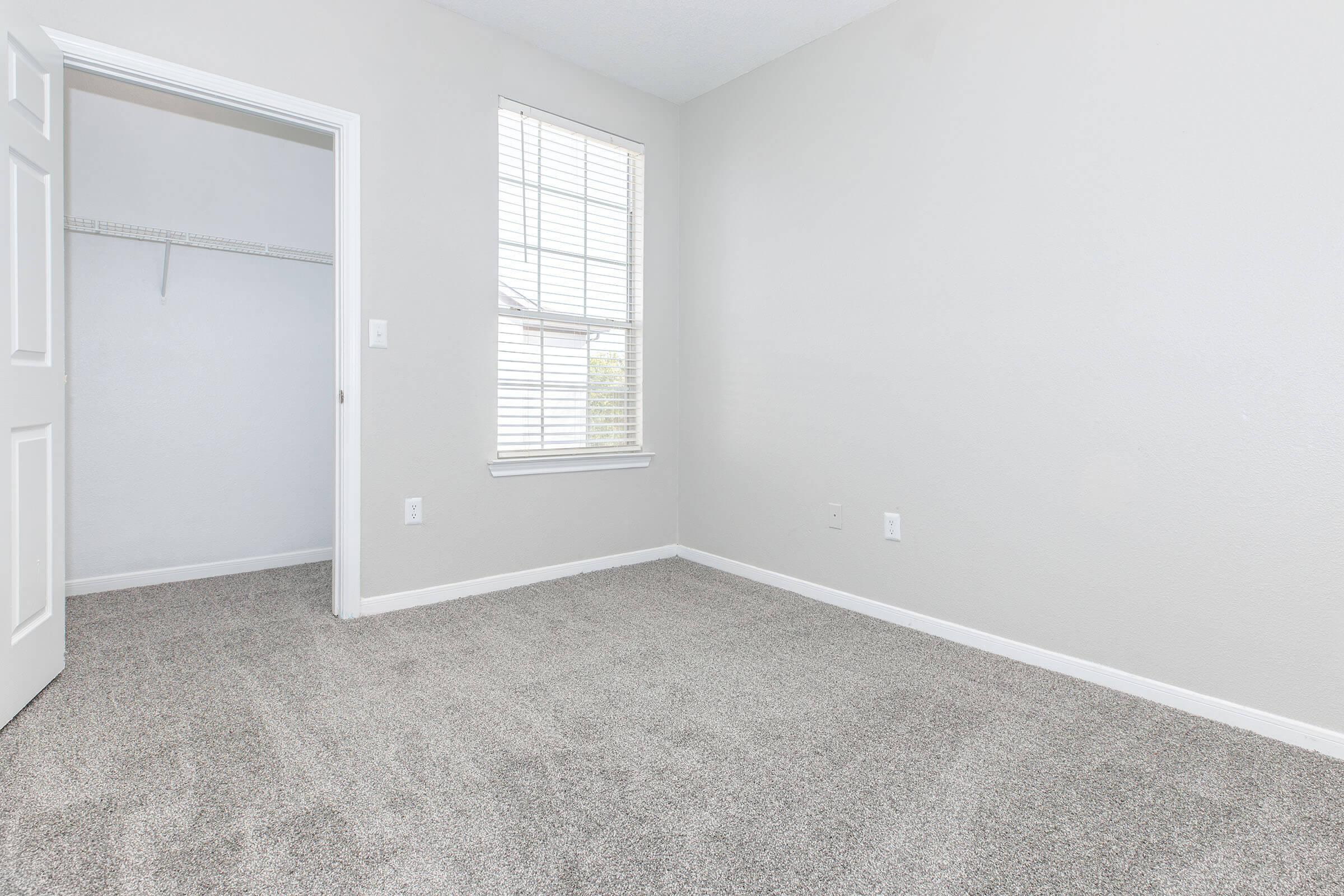 A bright, empty room with light gray walls and new carpet. There is a window with blinds allowing natural light in, and a closet with an open door on the left side. The overall space is clean and minimal, suitable for various uses such as a bedroom or office.