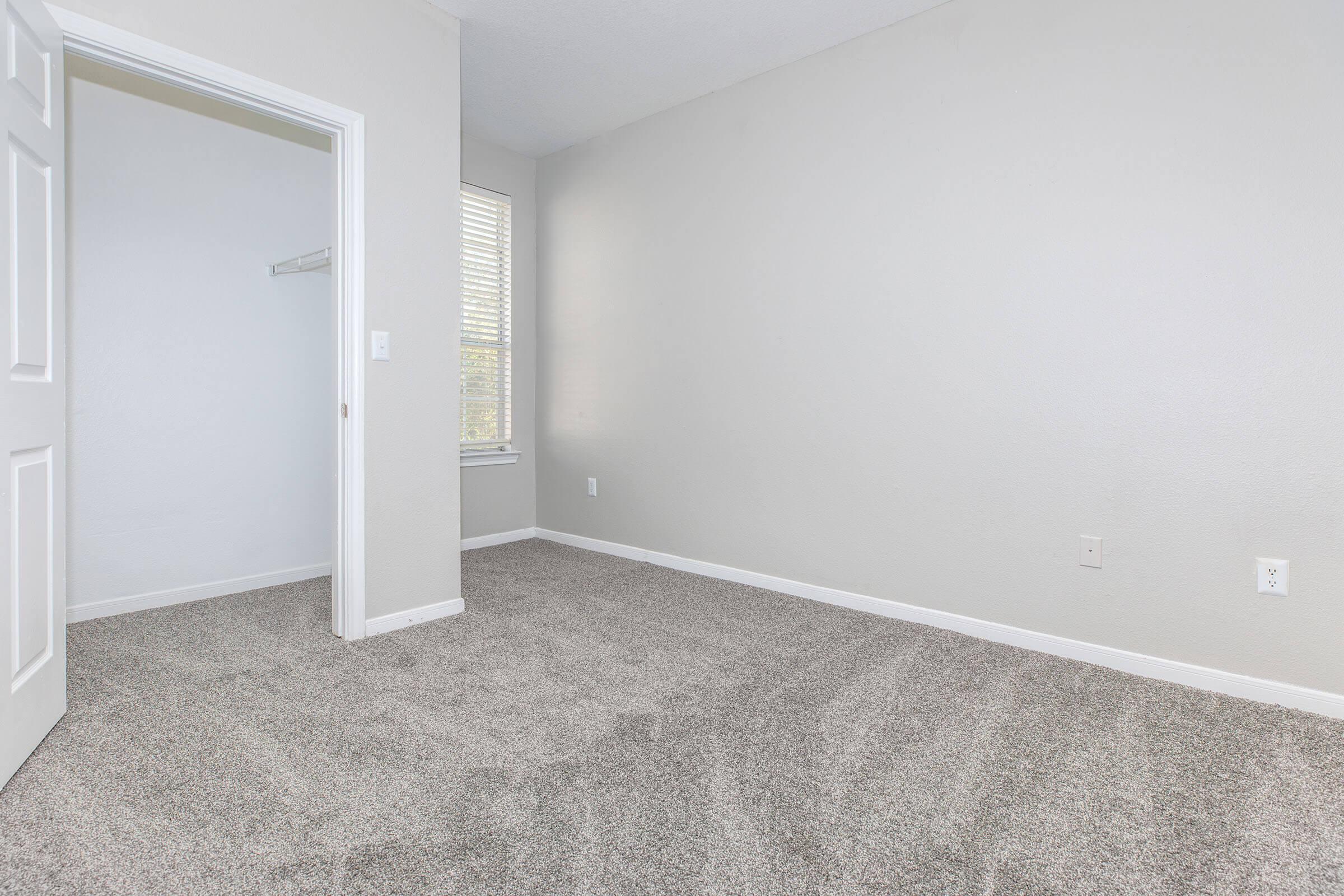 A well-lit empty room with light gray walls and a plush carpet. There is a closet with a white door on the left and a window with blinds letting in natural light. The room has a clean, minimalist appearance, ideal for various uses such as a bedroom or office space.