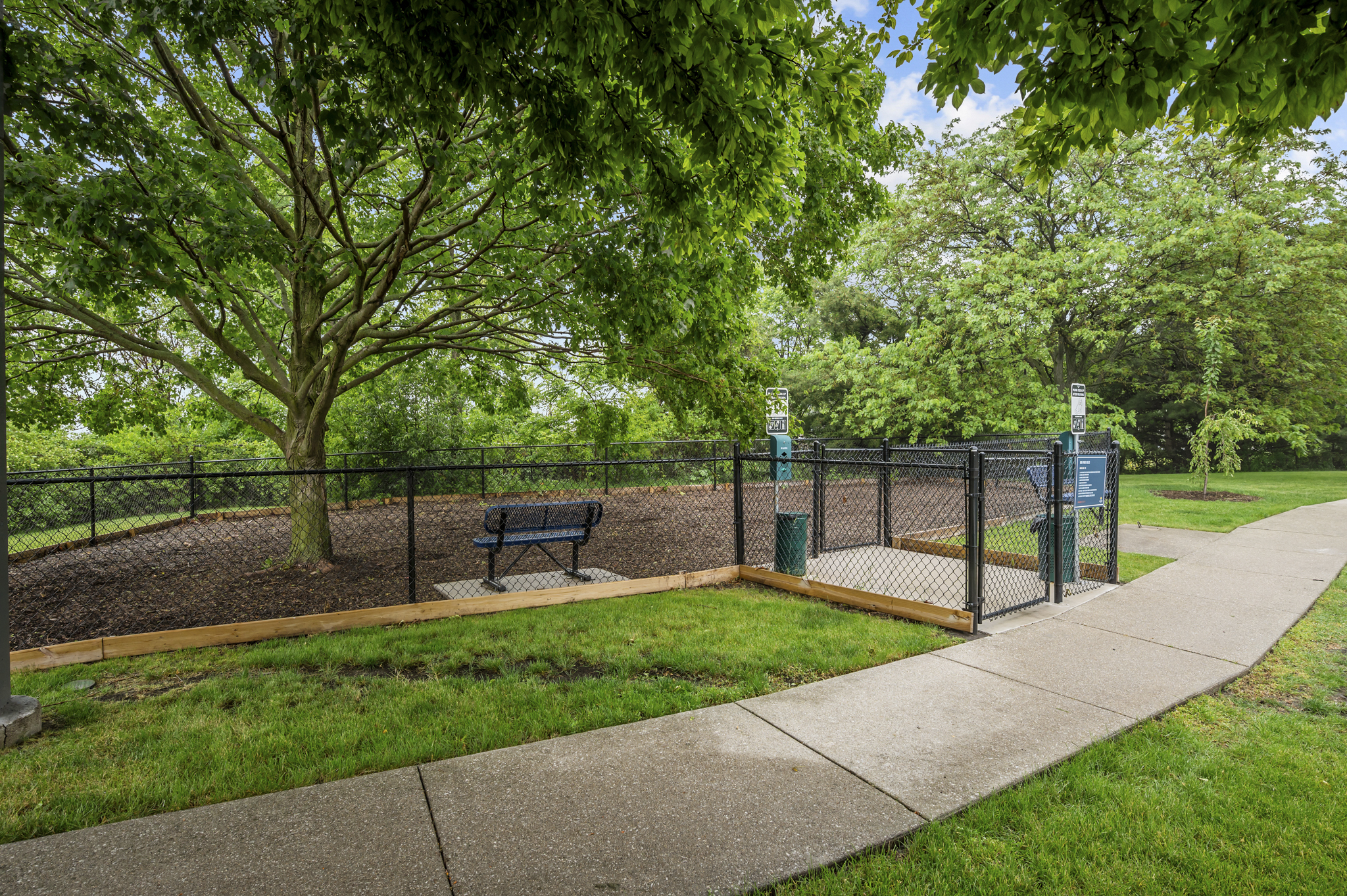 Brand New Dog Park