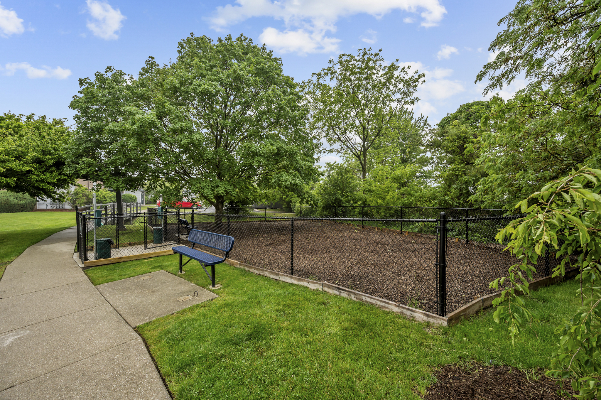 Brand New Dog Park