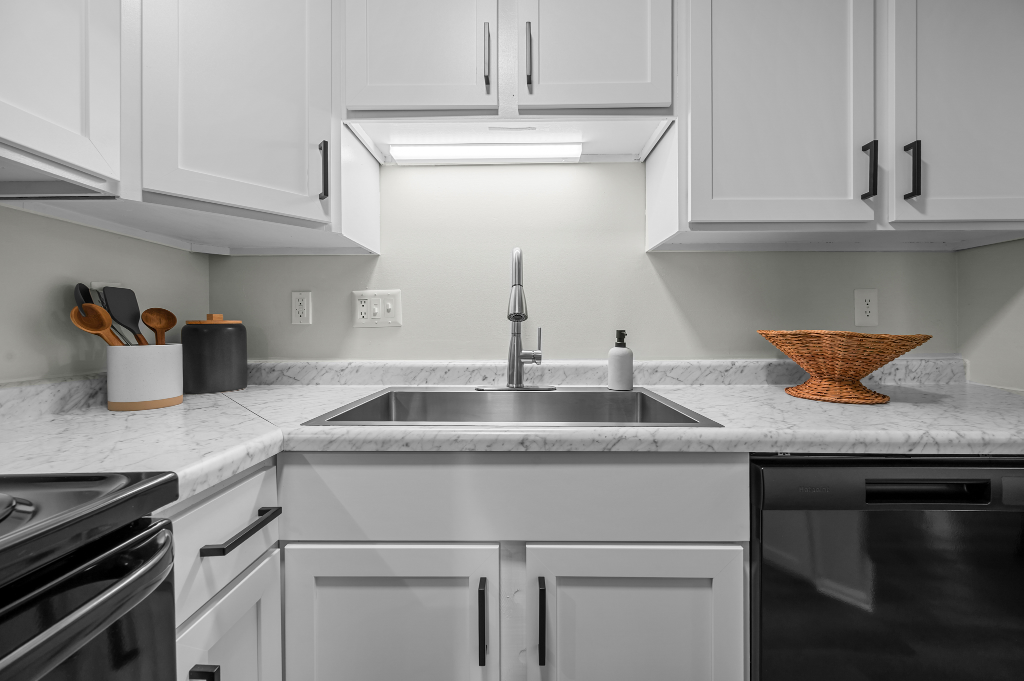 Modern Sink with Sprayer Faucet - Platinum Interior