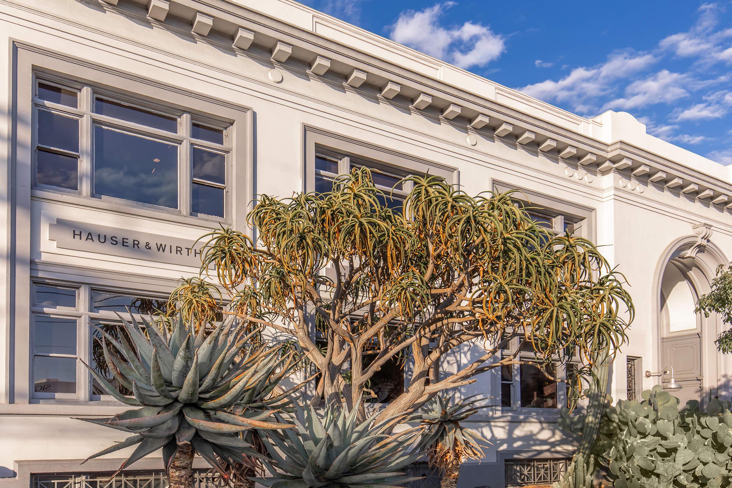 a palm tree in front of a building