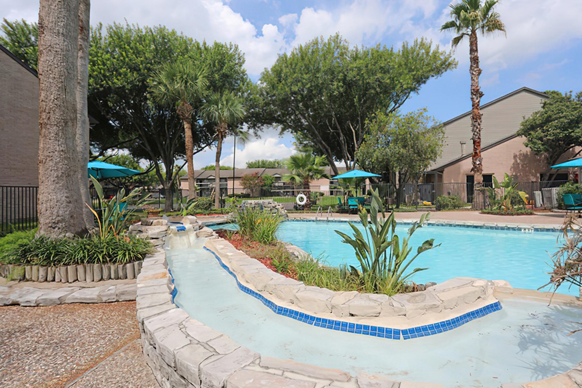 a pool next to a palm tree