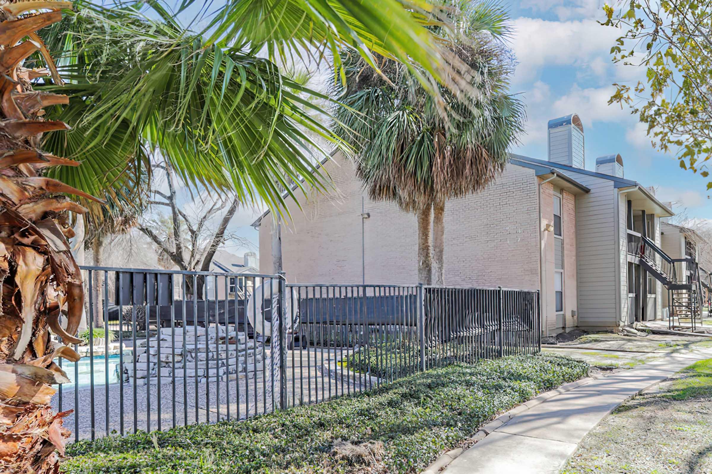 a group of palm trees and a fence