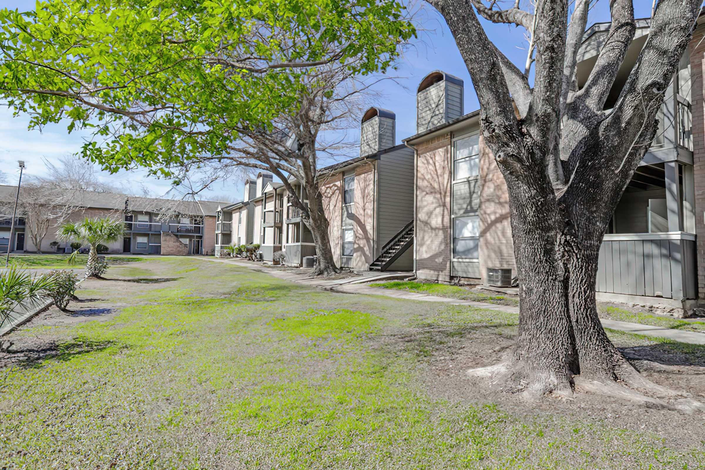 a tree in front of a building