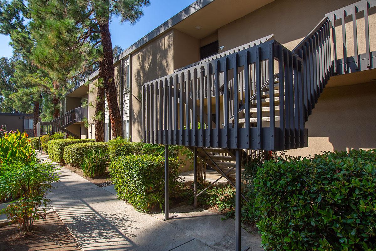 a path with trees on the side of a building