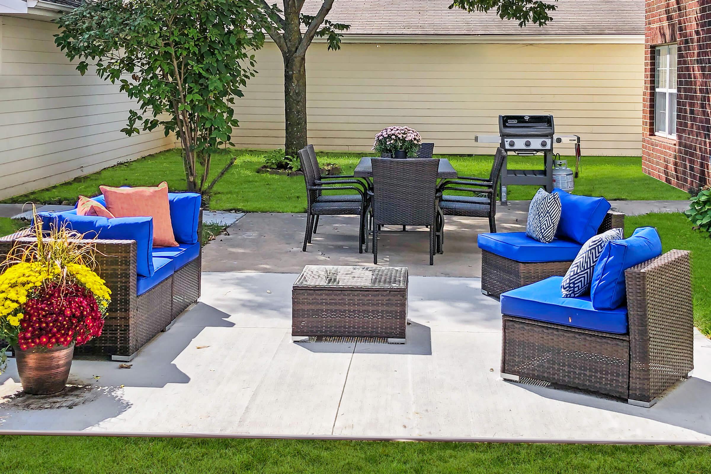 a blue bench in a garden