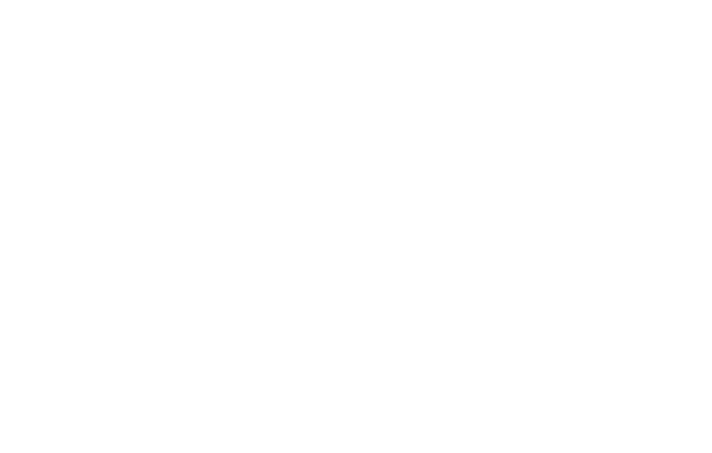 Hills at Spring Branch ebrochure logo