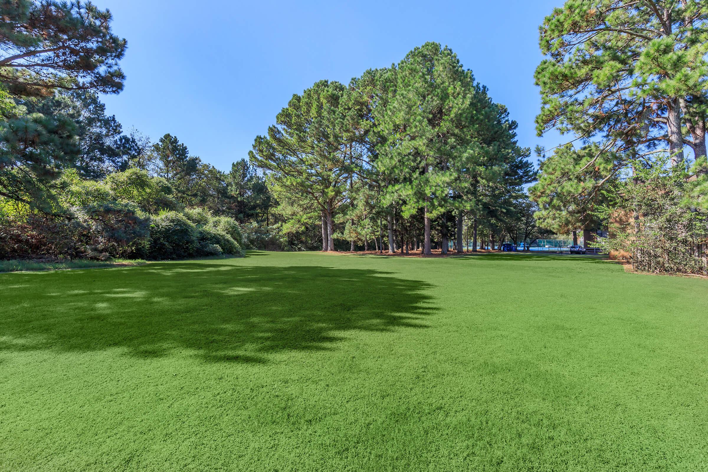 A spacious green field with lush, artificial grass surrounded by tall pine trees under a clear blue sky. The sunlight casts shadows from the trees onto the grass, creating a serene and inviting outdoor scene.
