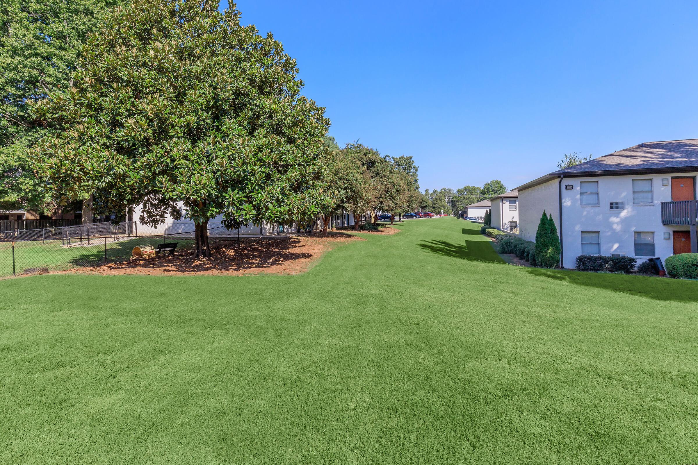 A well-maintained green lawn stretches between trees, with apartment buildings on the right. The sky is clear and blue, and there are parked cars visible in the distance. The scene conveys a peaceful residential area, ideal for outdoor activities and relaxation.