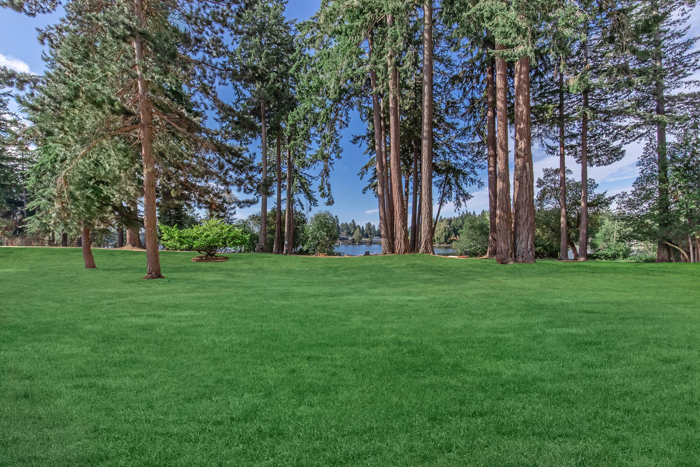 A serene landscape featuring a lush green lawn surrounded by tall trees, with a calm lake visible in the background. The sky is clear and blue, enhancing the peaceful atmosphere of the natural setting.