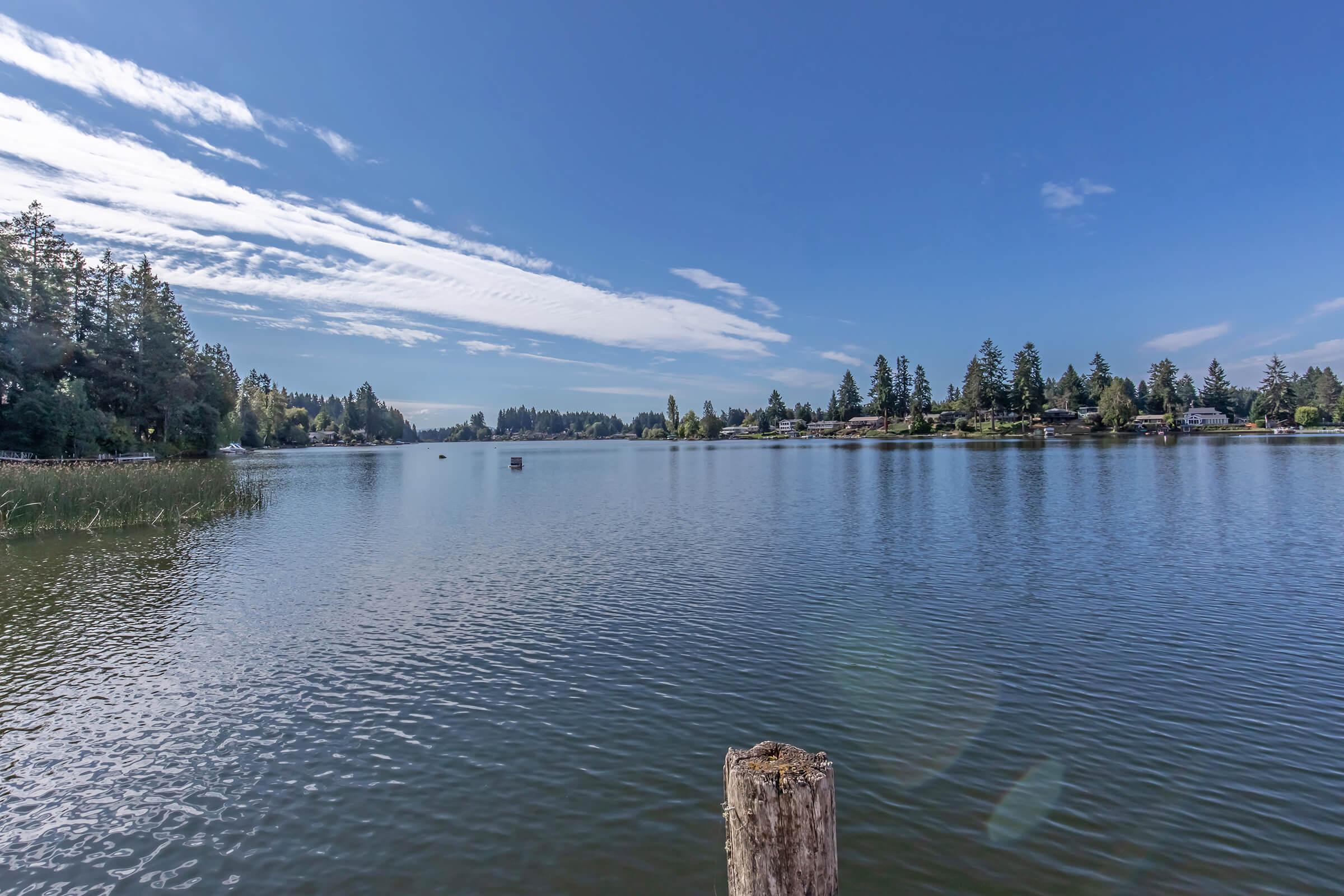 Calm lake scene with clear blue sky and scattered clouds, surrounded by greenery. In the foreground, a weathered wooden post emerges from the water, while the background features trees and a distant shoreline, creating a serene and picturesque landscape.