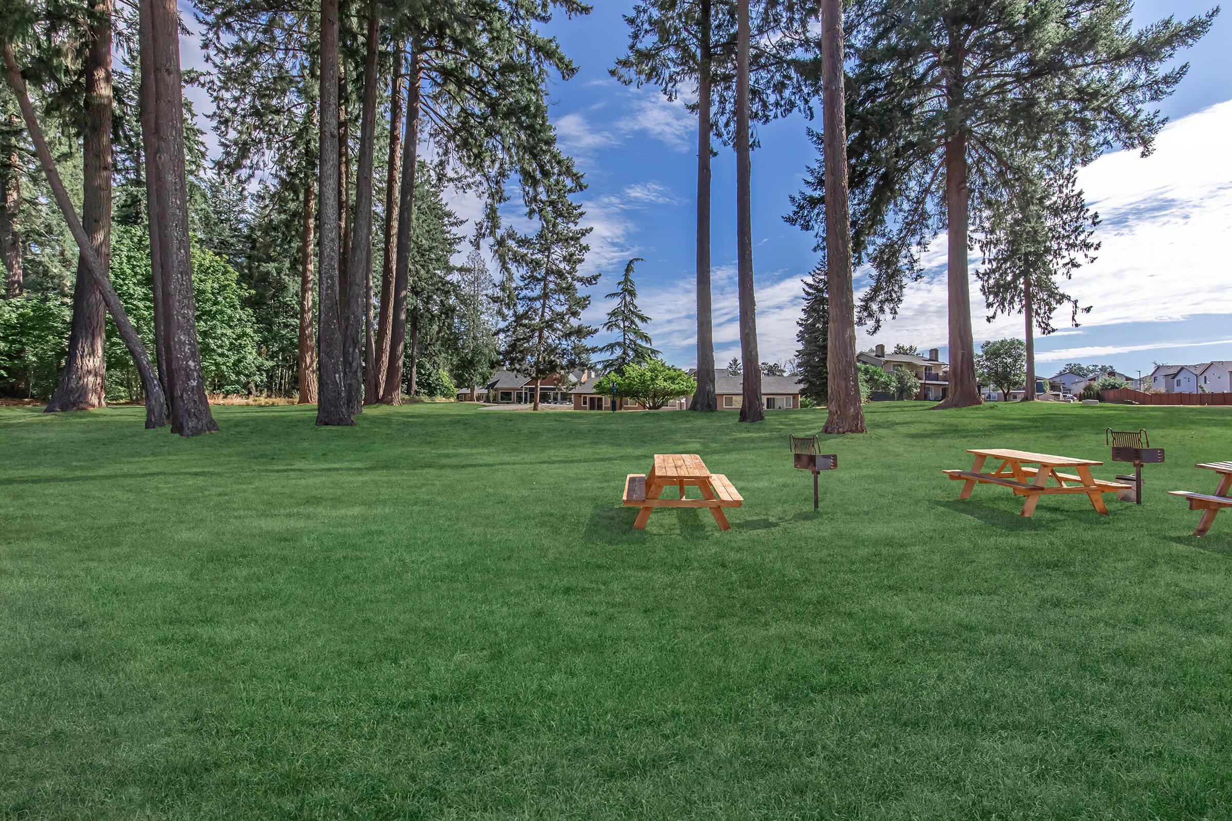 A spacious green lawn surrounded by tall trees, featuring several wooden picnic tables. In the background, there are buildings partially obscured by the trees under a blue sky with scattered clouds. The scene conveys a peaceful, outdoor recreational area.