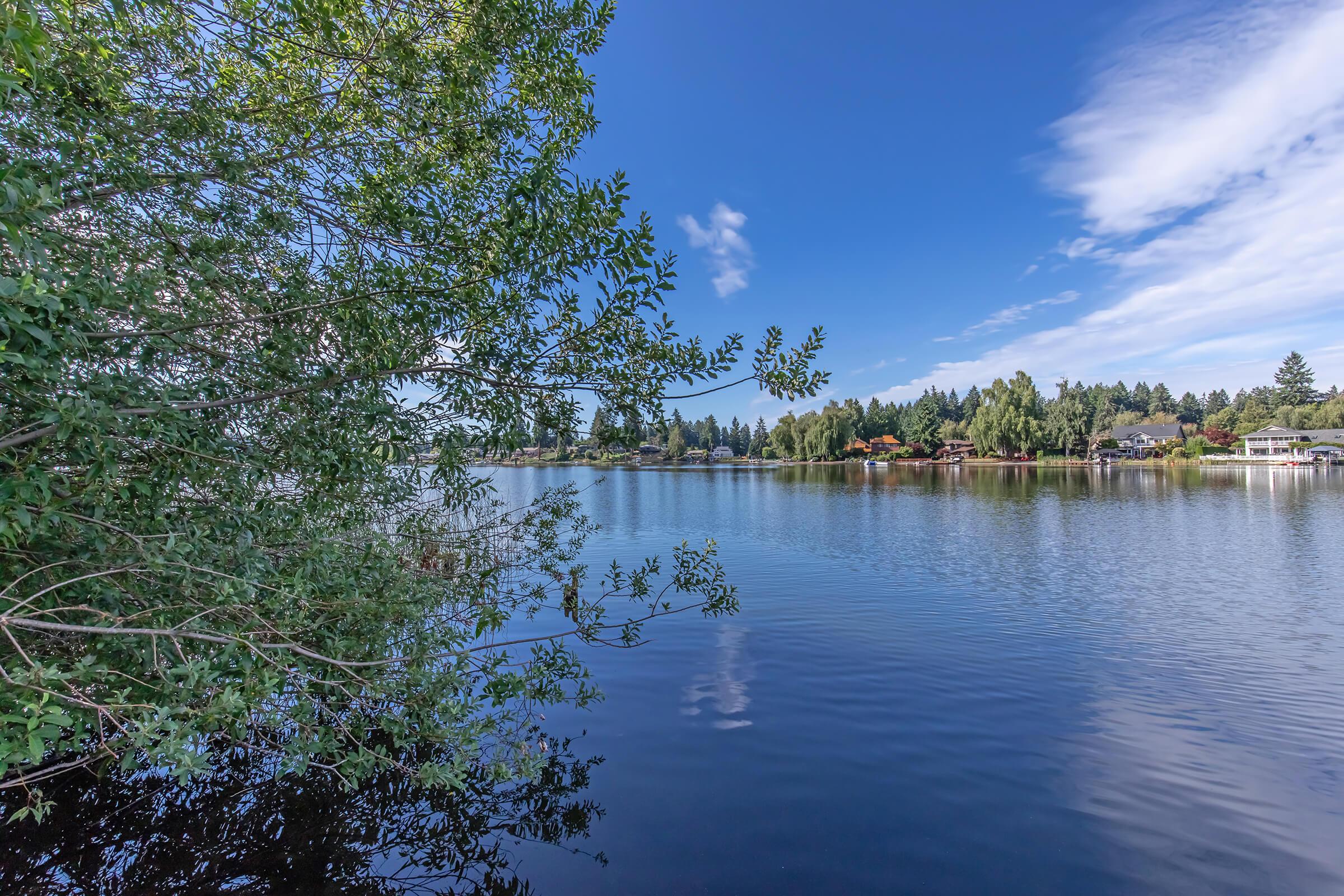 A tranquil lake scene with calm water reflecting the blue sky and fluffy clouds. Lush green foliage frames the left side, while a picturesque shoreline with houses and trees is visible in the background. The overall atmosphere is serene and picturesque, evoking a sense of peace and natural beauty.