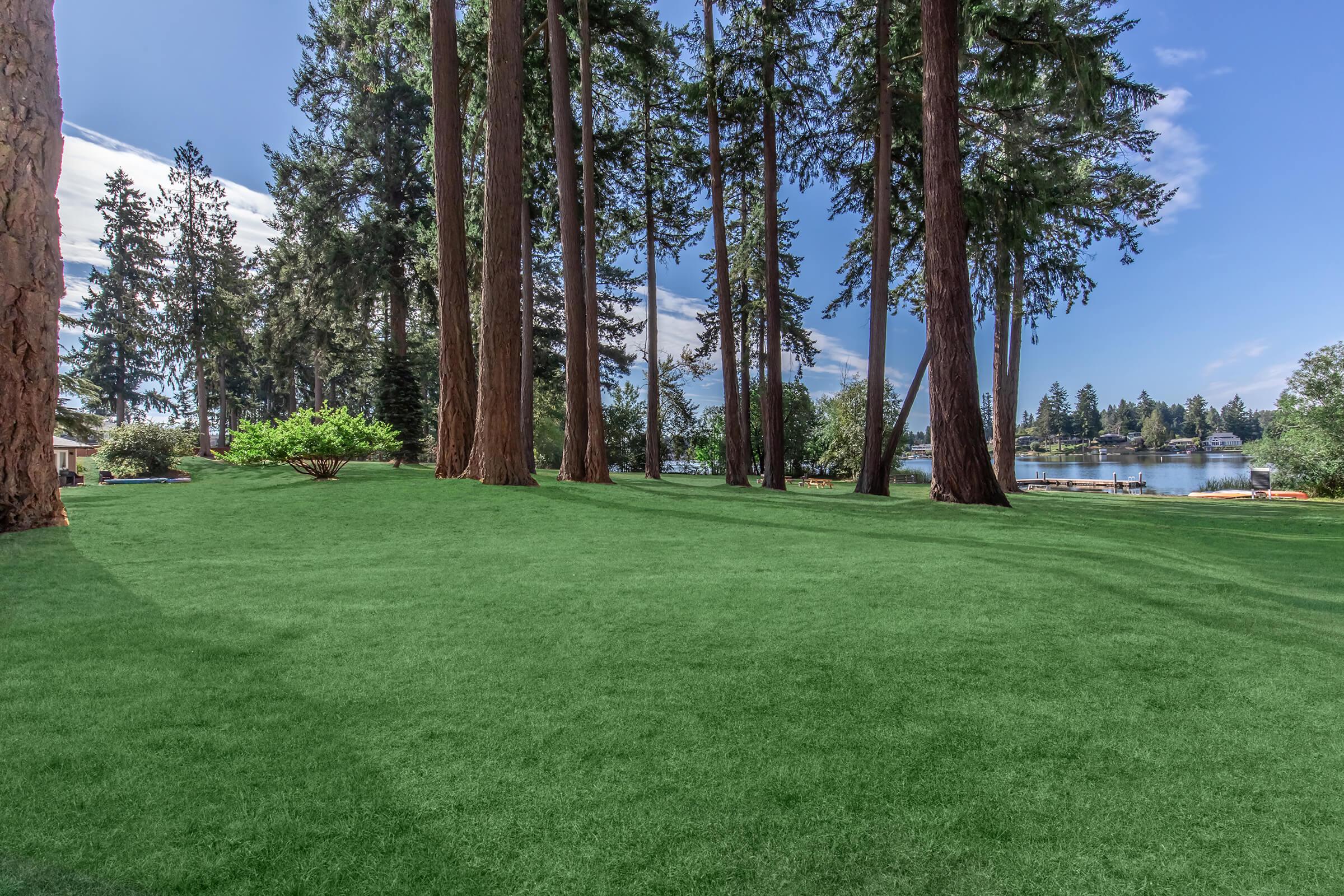 Lush green lawn bordered by tall trees, overlooking a tranquil lake. The sky is partly cloudy, with hints of blue peeking through. A peaceful outdoor scene ideal for relaxation or recreational activities.