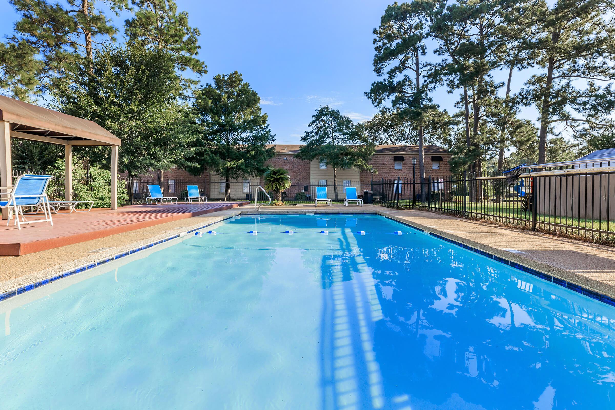 a group of people in a swimming pool