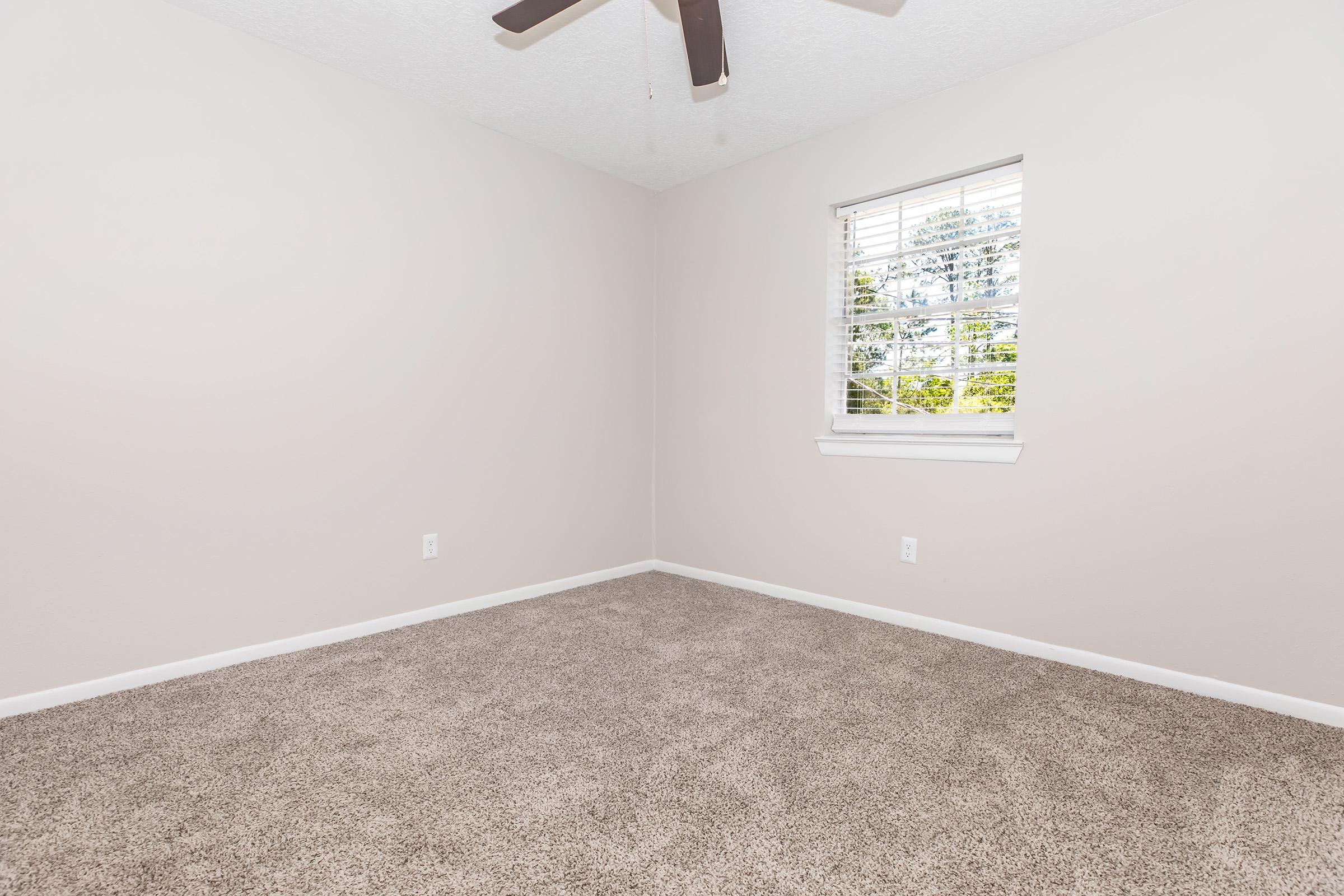 Empty room with light pink walls and a ceiling fan. A single window with white blinds allows natural light to enter, illuminating the beige carpeted floor. The space is unadorned, creating a minimalist atmosphere.