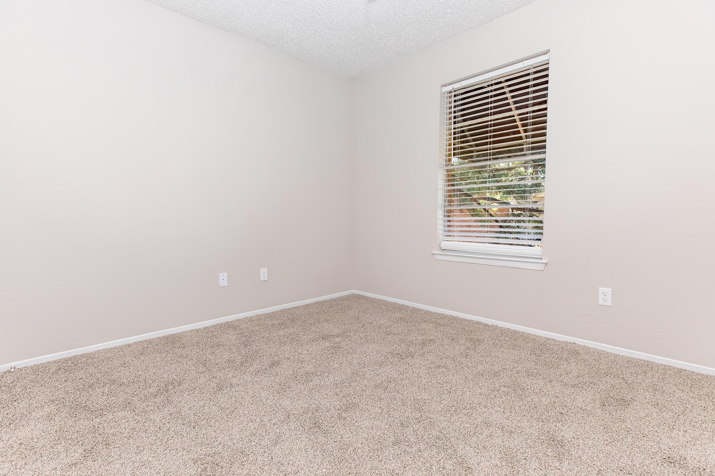 Empty room with light beige carpet and neutral-colored walls. A single window with blinds allows natural light to enter, casting soft shadows on the floor. The space is unfurnished, creating an open and airy atmosphere, suitable for various uses or personal design.