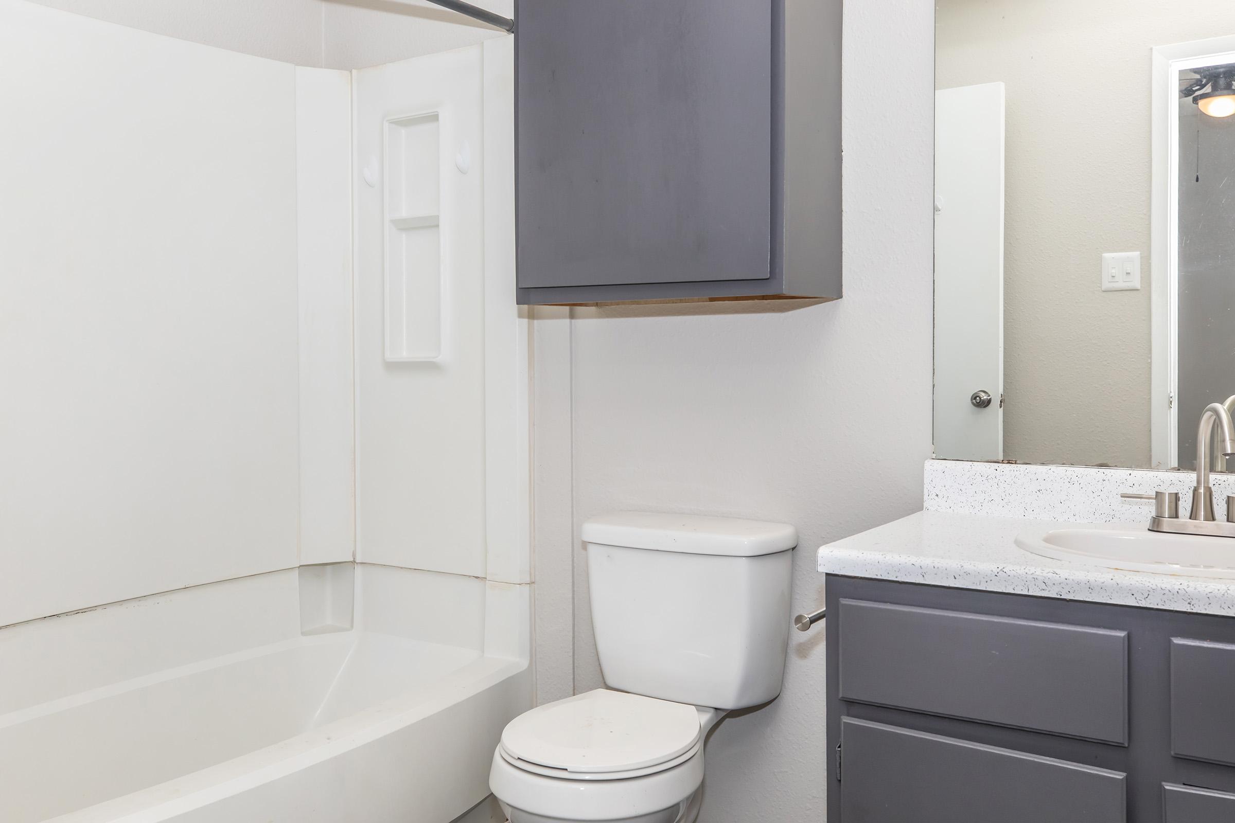 A clean bathroom featuring a white bathtub and shower combination, a modern toilet, and a sink with gray cabinetry. The walls are a light color, and ample lighting is provided. A mirror can be seen in the background, reflecting the room.