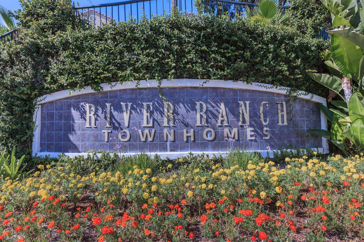 a close up of a flower garden in front of a sign