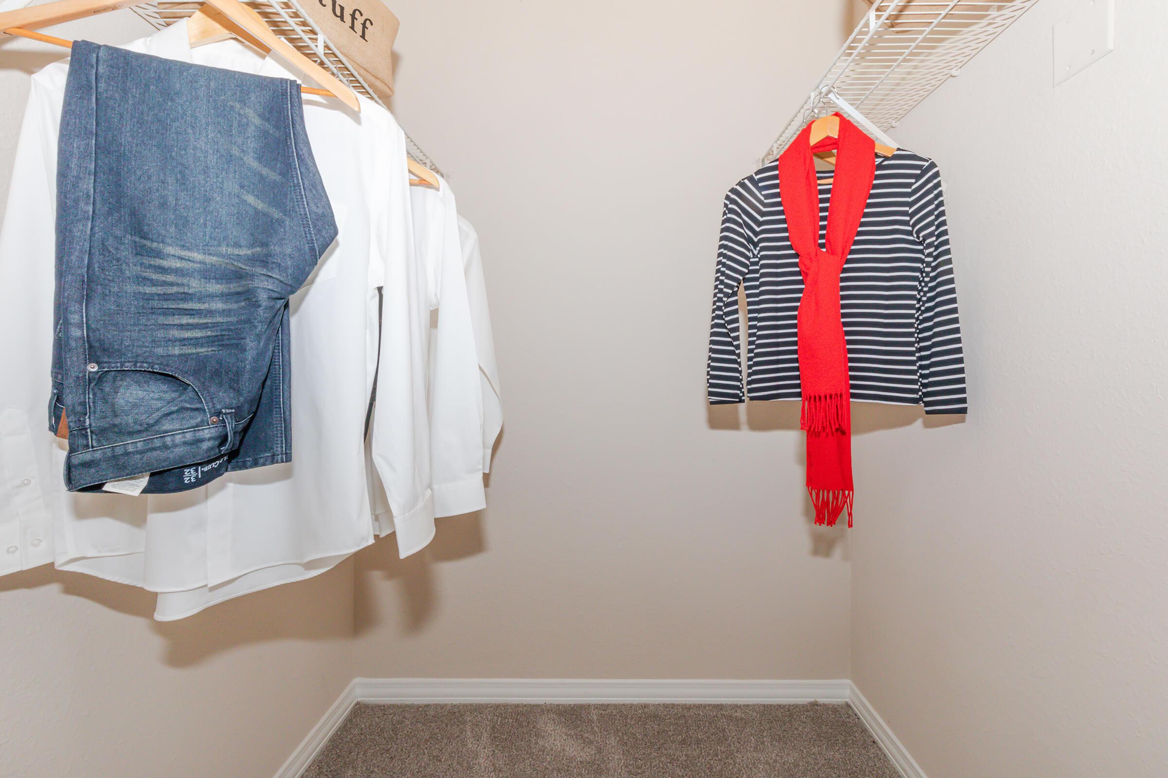 furnished walk-in closet