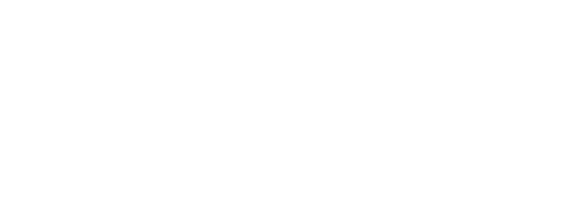 Villages at Clear Springs ebrochure logo