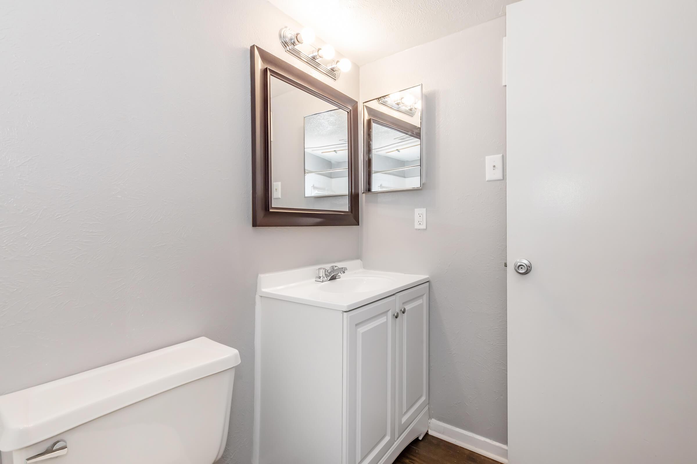 A modern bathroom featuring a white vanity with a sink, a large mirror above it, and a stylish light fixture. The walls are painted in a light gray color, and there is a white toilet visible on the left. A closed door is seen on the right, and the flooring appears to be wood.