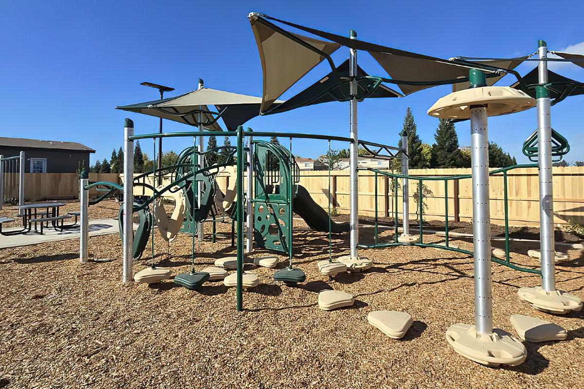 A playground featuring various climbing structures, slides, and shaded areas. The ground is covered with wood chips, and there are picnic tables in the background. The scene is set on a sunny day with blue skies, surrounded by a wooden fence and trees in the distance.