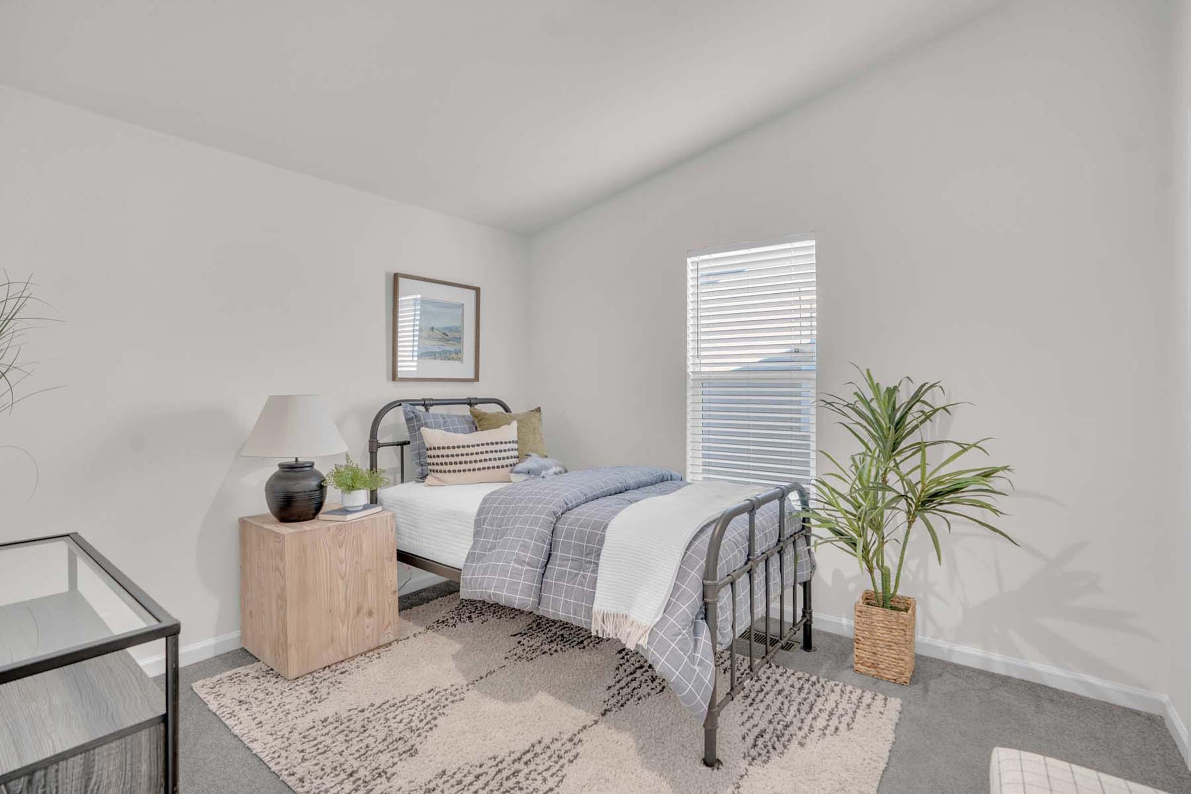 A cozy bedroom featuring a metal bed frame with patterned bedding, a bedside table with a lamp, a small plant, and a textured area rug. A window lets in natural light, and a framed picture decorates the wall, adding a personal touch to the minimalist space.
