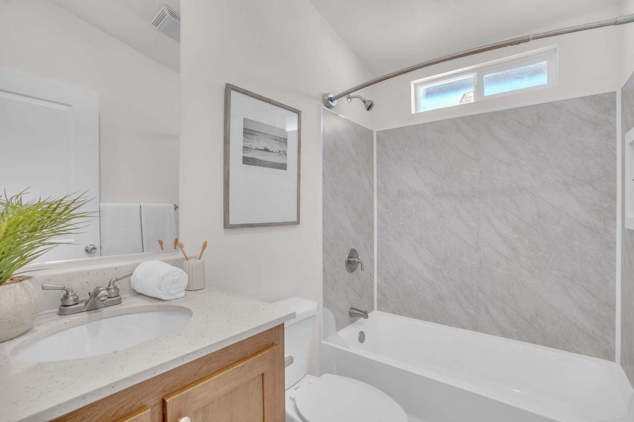 A modern bathroom featuring a white bathtub and shower combination, a light-colored countertop with a sink, and a mirror. The walls are adorned with a framed picture and there's a small plant on the counter, adding a touch of greenery. Soft natural light is coming through a small window.