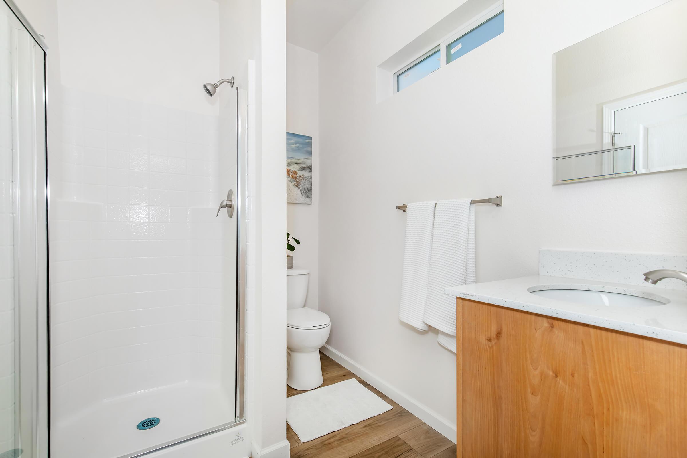 Modern bathroom with a walk-in shower, wooden vanity, and a white toilet. The walls are painted in light colors, and there are two white towels hanging on a rack. A small plant is visible on the vanity, and there's a mirror above the sink. Natural light comes in through a small window.