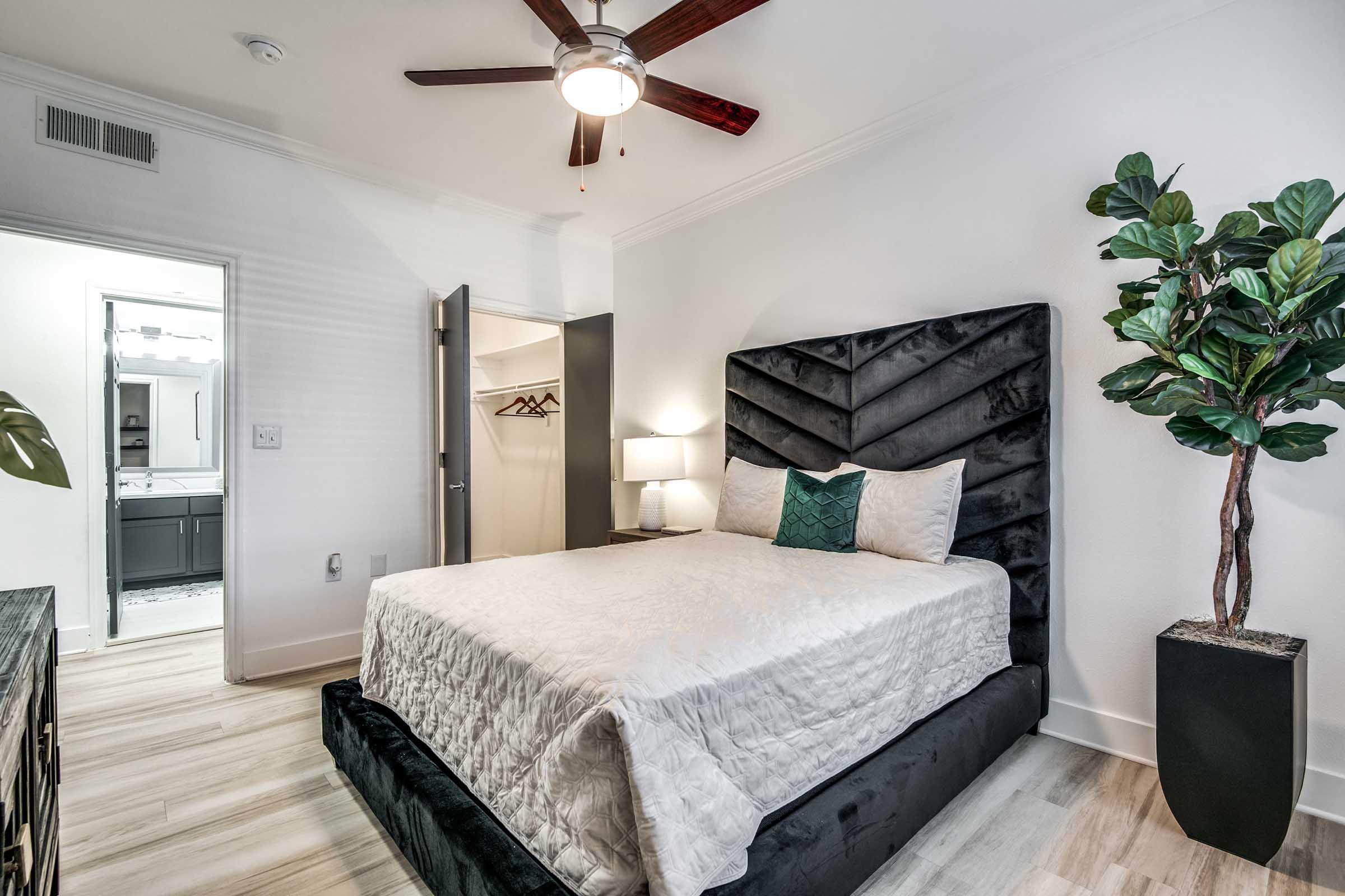 A modern bedroom featuring a plush black upholstered bed with decorative pillows, a bedside lamp on a nightstand, and a potted plant in the corner. A door leads to a bathroom area, and a closet is visible, showcasing wooden hangers. The flooring is light-colored, enhancing the bright ambiance of the space.