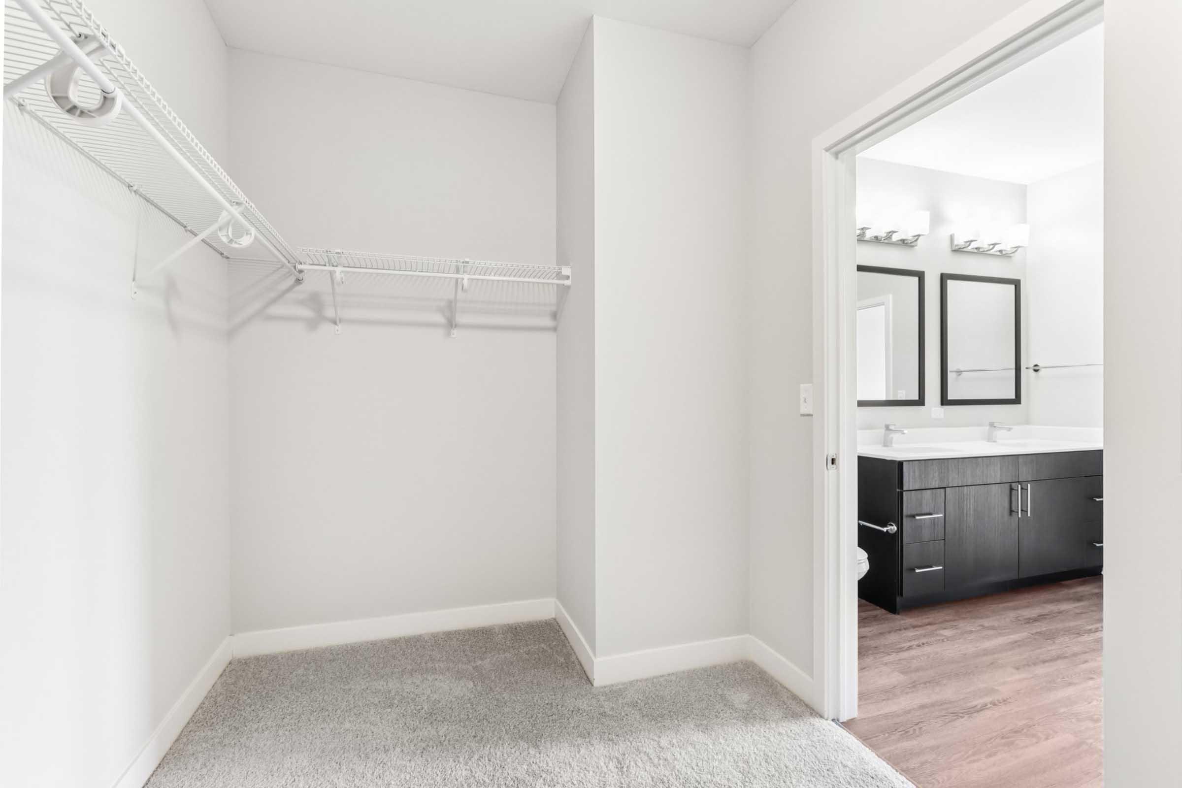 Empty walk-in closet with white shelving on one wall, leading to a bathroom area featuring double sinks, dark cabinetry, and large mirrors. The surrounding walls are painted light grey, and the flooring is a combination of plush carpet in the closet and hardwood in the bathroom.