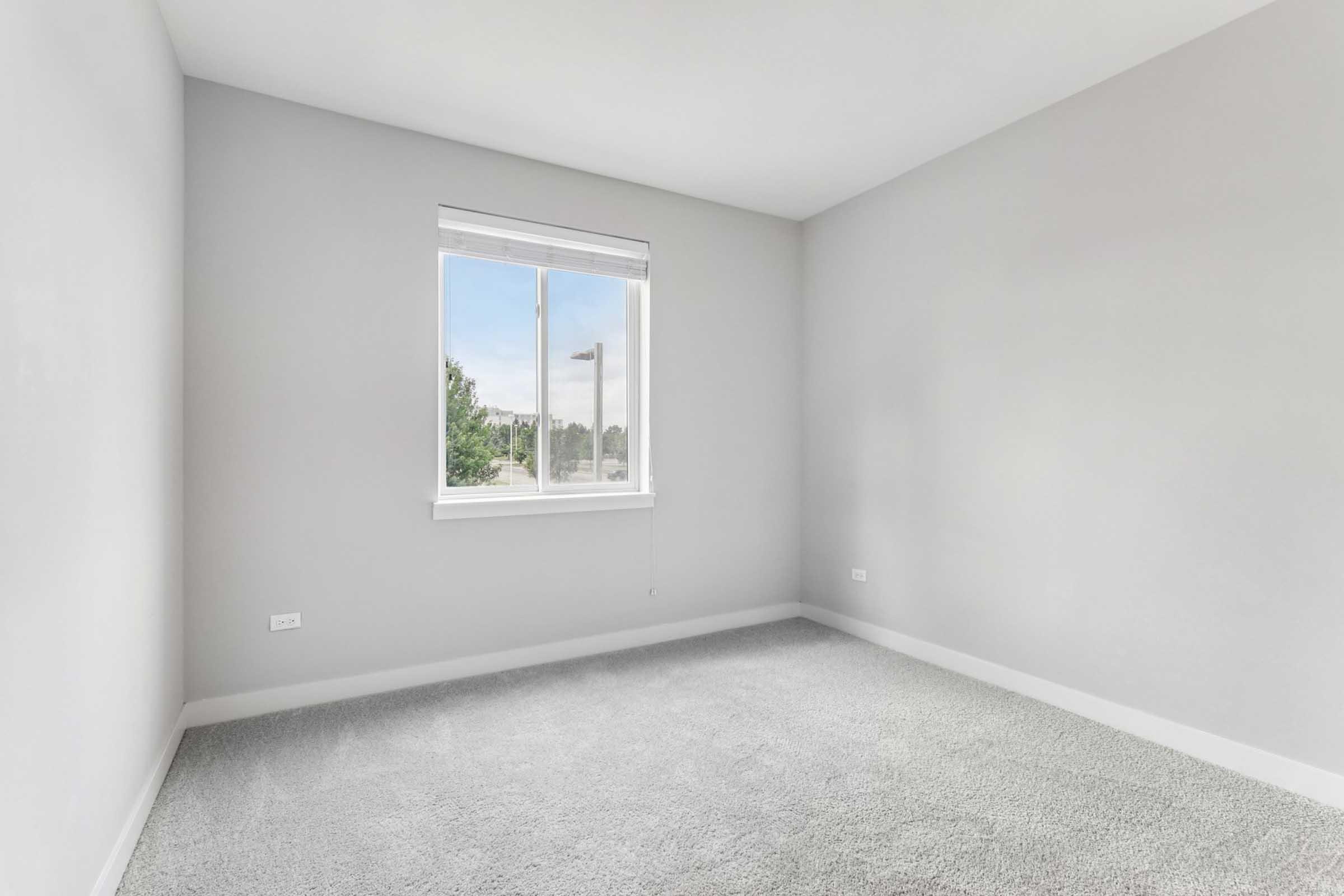 A bright, empty room with gray walls and carpet. A single window lets in natural light, offering a view of greenery outside. The space is minimalistic, with no furniture or decorations, creating a clean and open atmosphere.