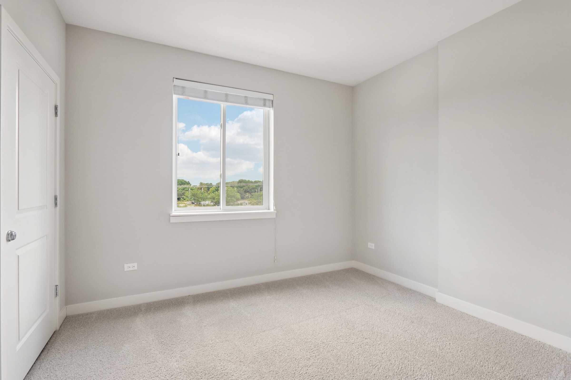 A light-filled empty room with a window offering a view of greenery outside. The walls are painted in a soft gray, and the flooring is carpeted in a light shade, creating a spacious and inviting atmosphere. A white door is visible on the left side of the room.