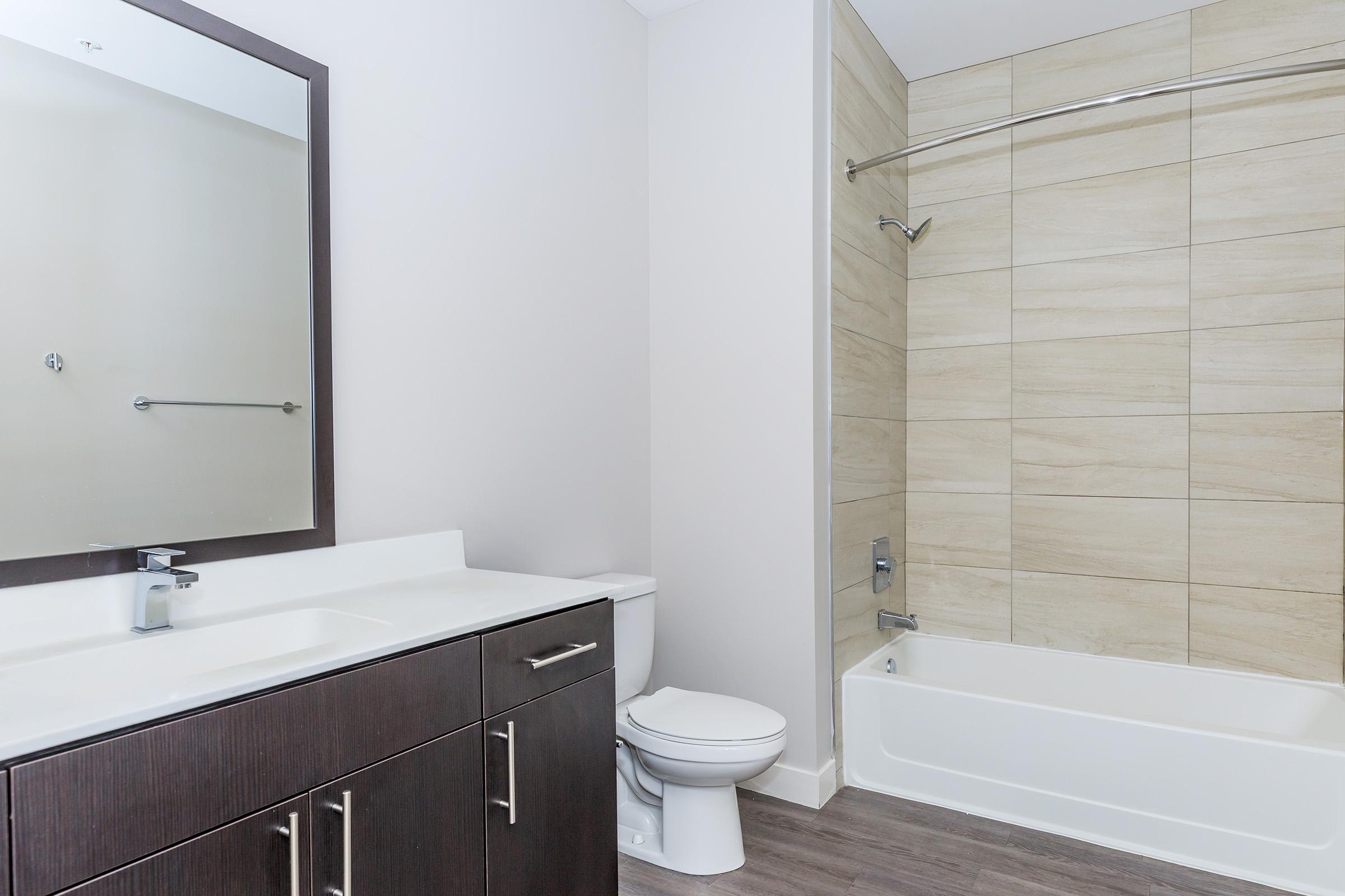 a shower that has a sink and a mirror