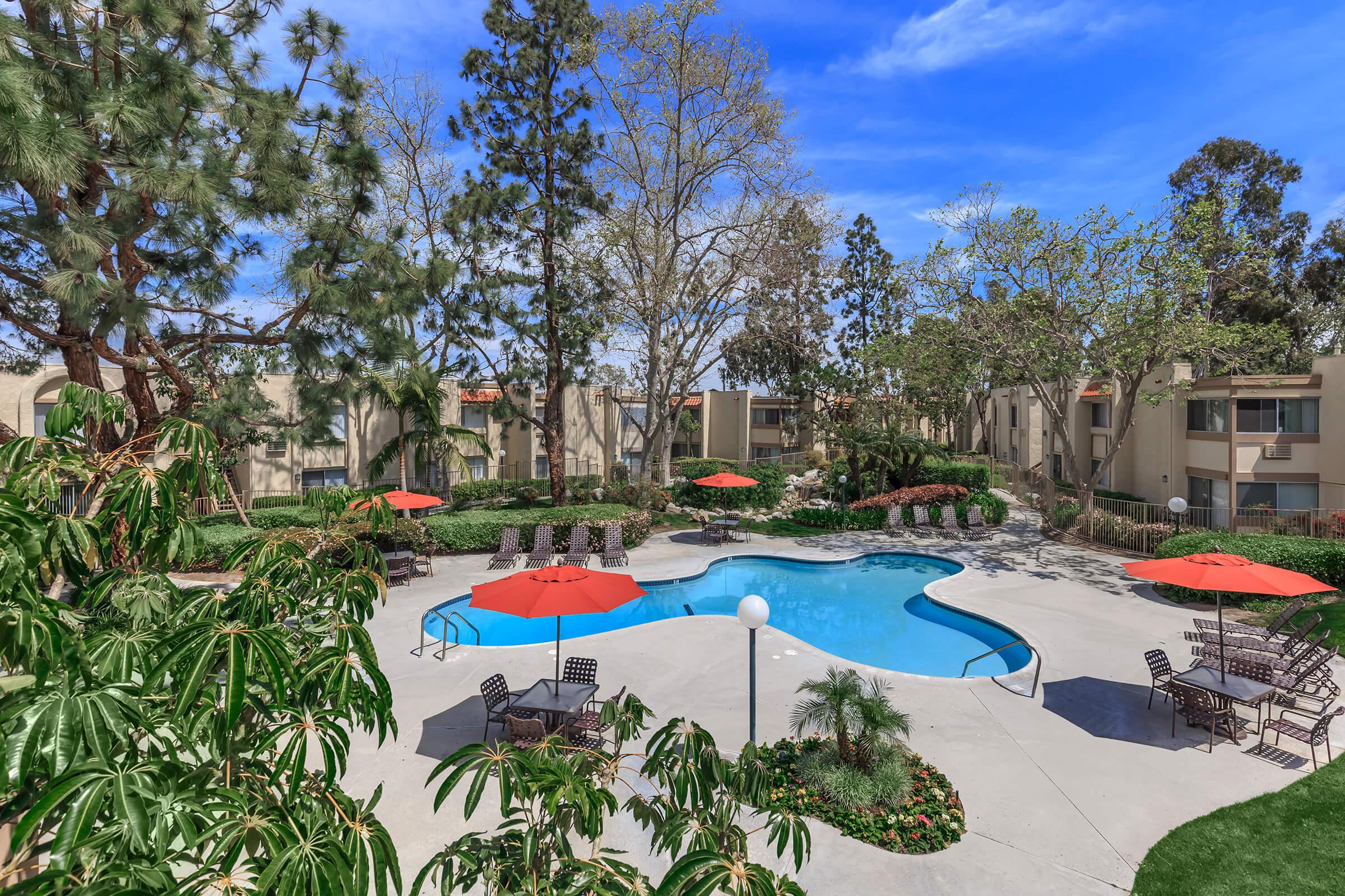 Pacific Woods Apartment Homes community pool with green trees