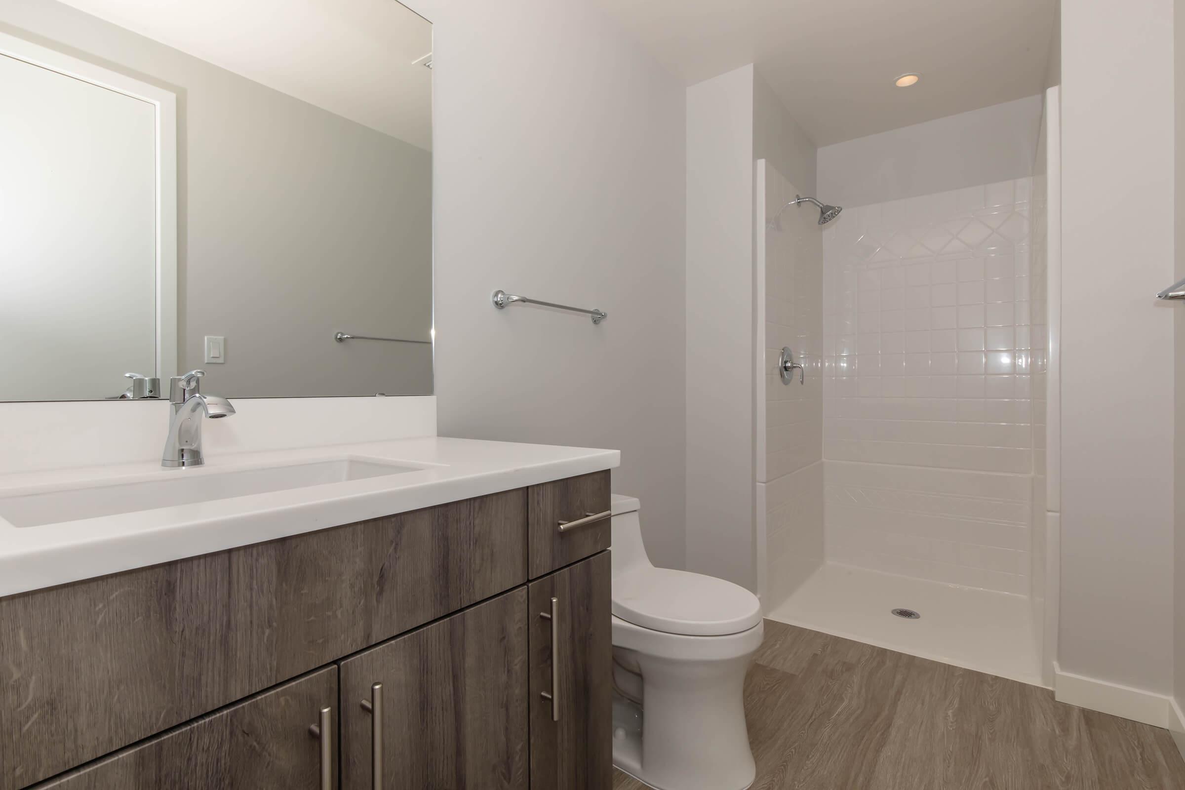 a shower that has a sink and a mirror