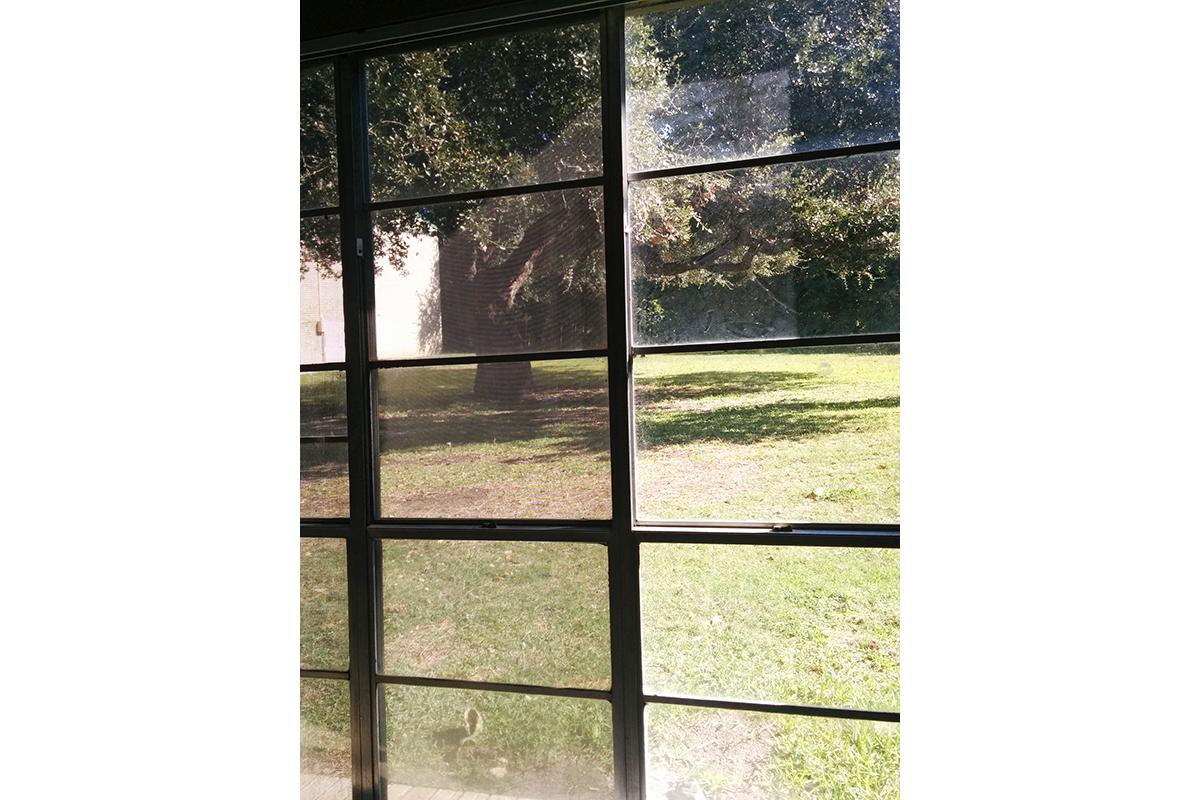 outside window view.jpg