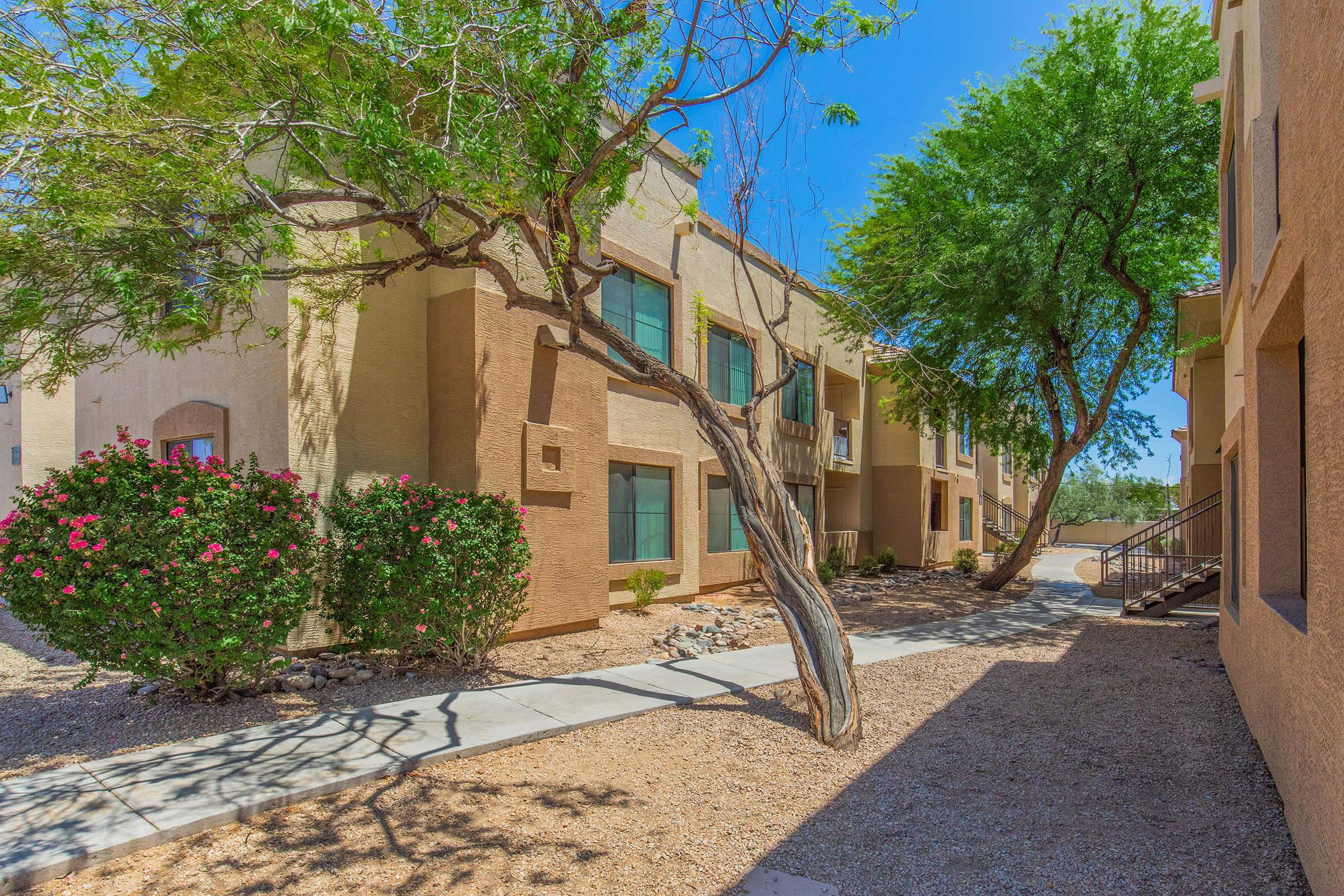 A pathway lined with greenery and blooming shrubs leads to a series of light-colored apartment buildings under a clear blue sky. Two trees provide shade beside the walkway, creating a serene outdoor atmosphere in a residential setting.
