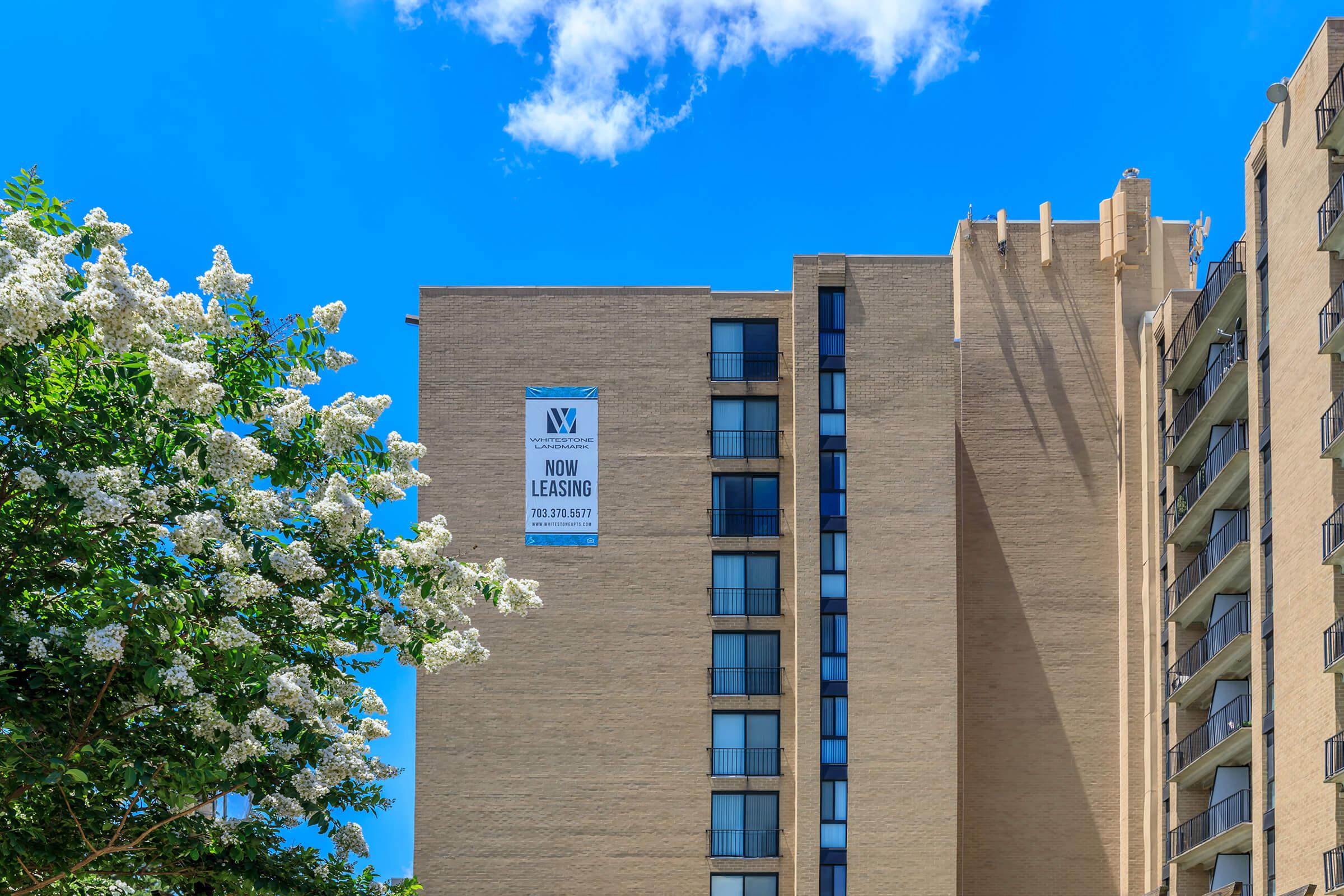 Landscaping at Whitestone at Landmark  in Alexandria VA