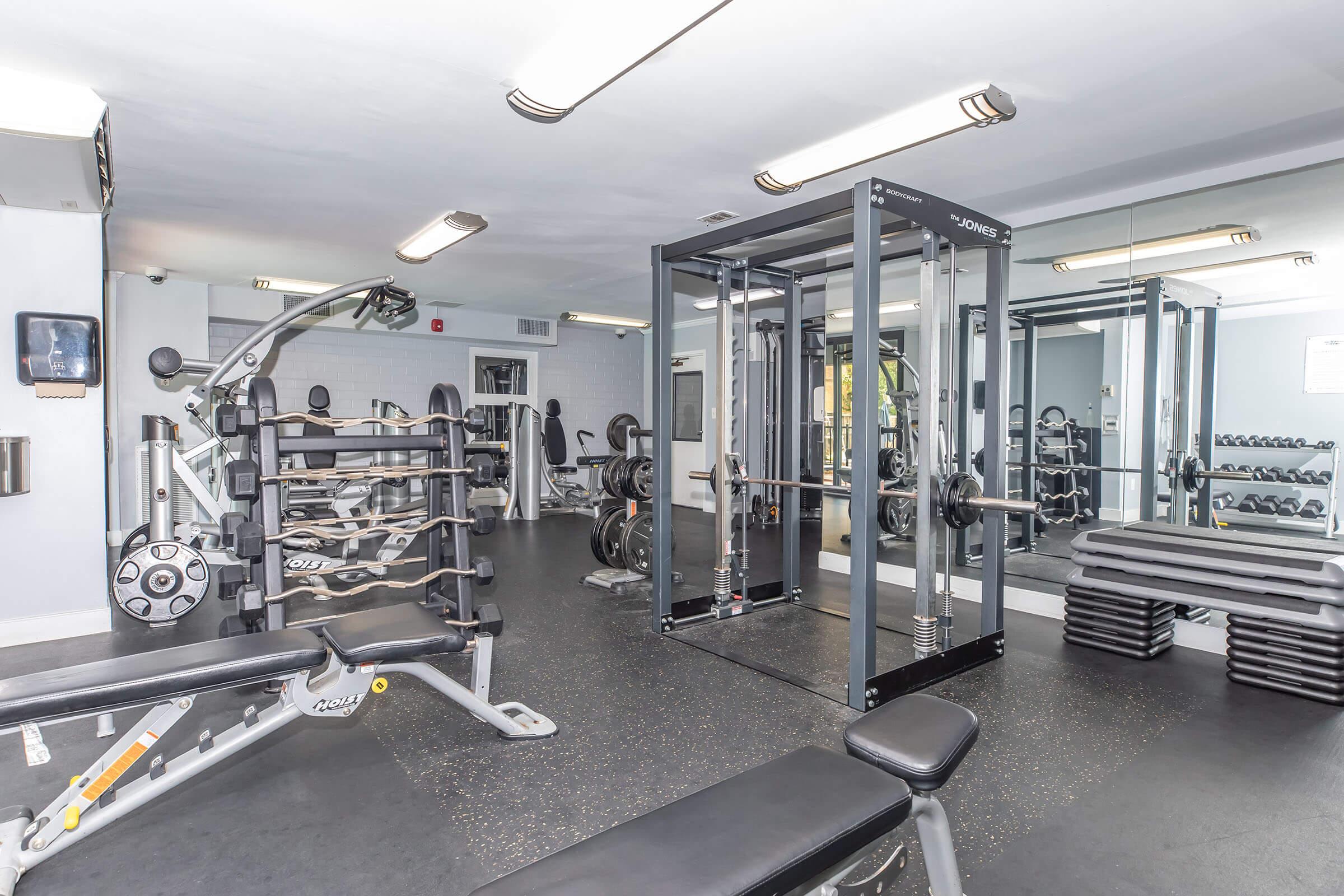 A well-equipped gym featuring weightlifting benches, free weights, a power rack, and various exercise machines. The space is modern and clean, with mirrors on one wall and good lighting to enhance visibility.