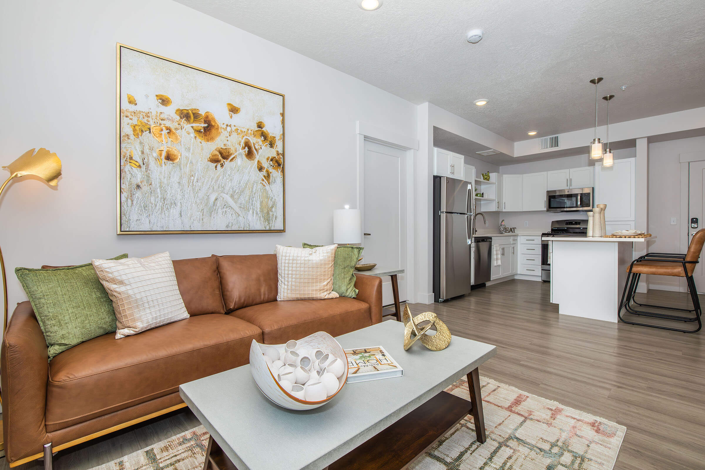 Apartment Features