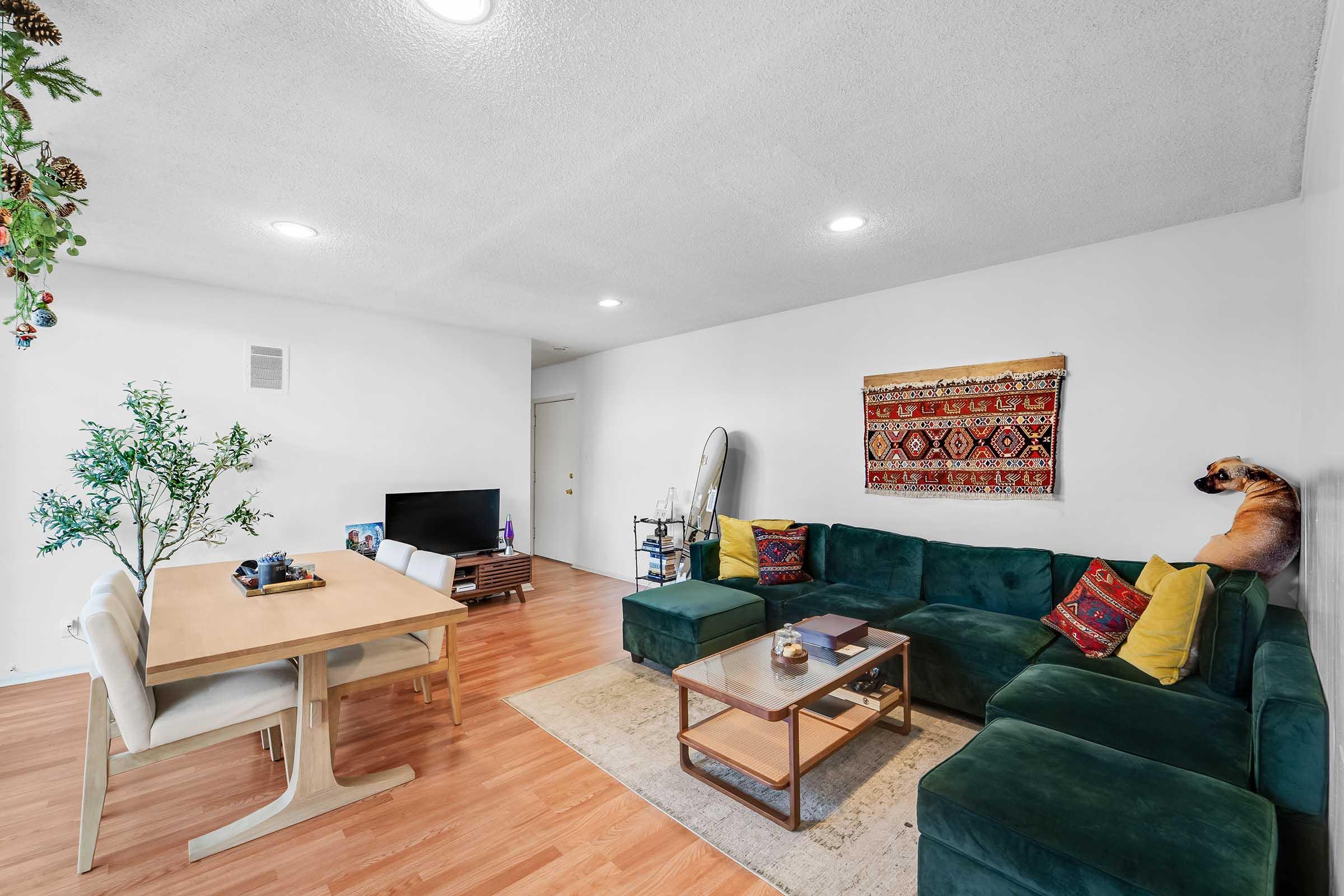 A cozy living room featuring a green sectional sofa adorned with colorful cushions, a wooden dining table with light-colored chairs, and a television. A decorative wall hanging adds character, alongside a small tree and a dog figurine on the sofa. The space has warm lighting and wooden floors.